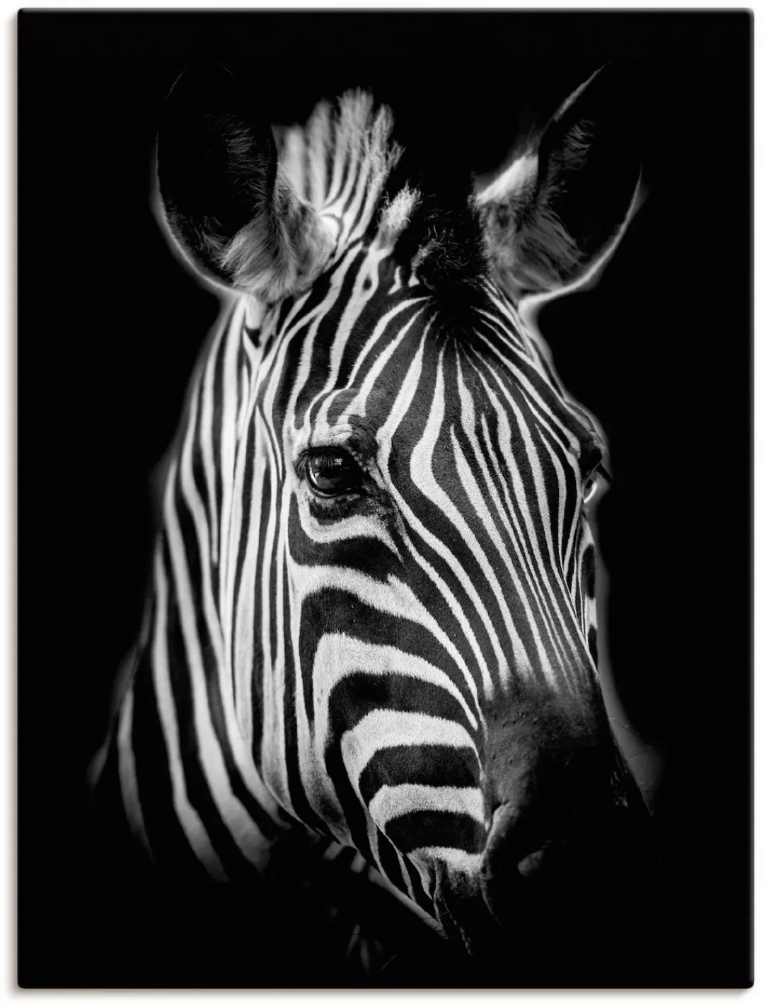 Artland Wandbild »Zebra«, Zebra Bilder, (1 St.) günstig online kaufen