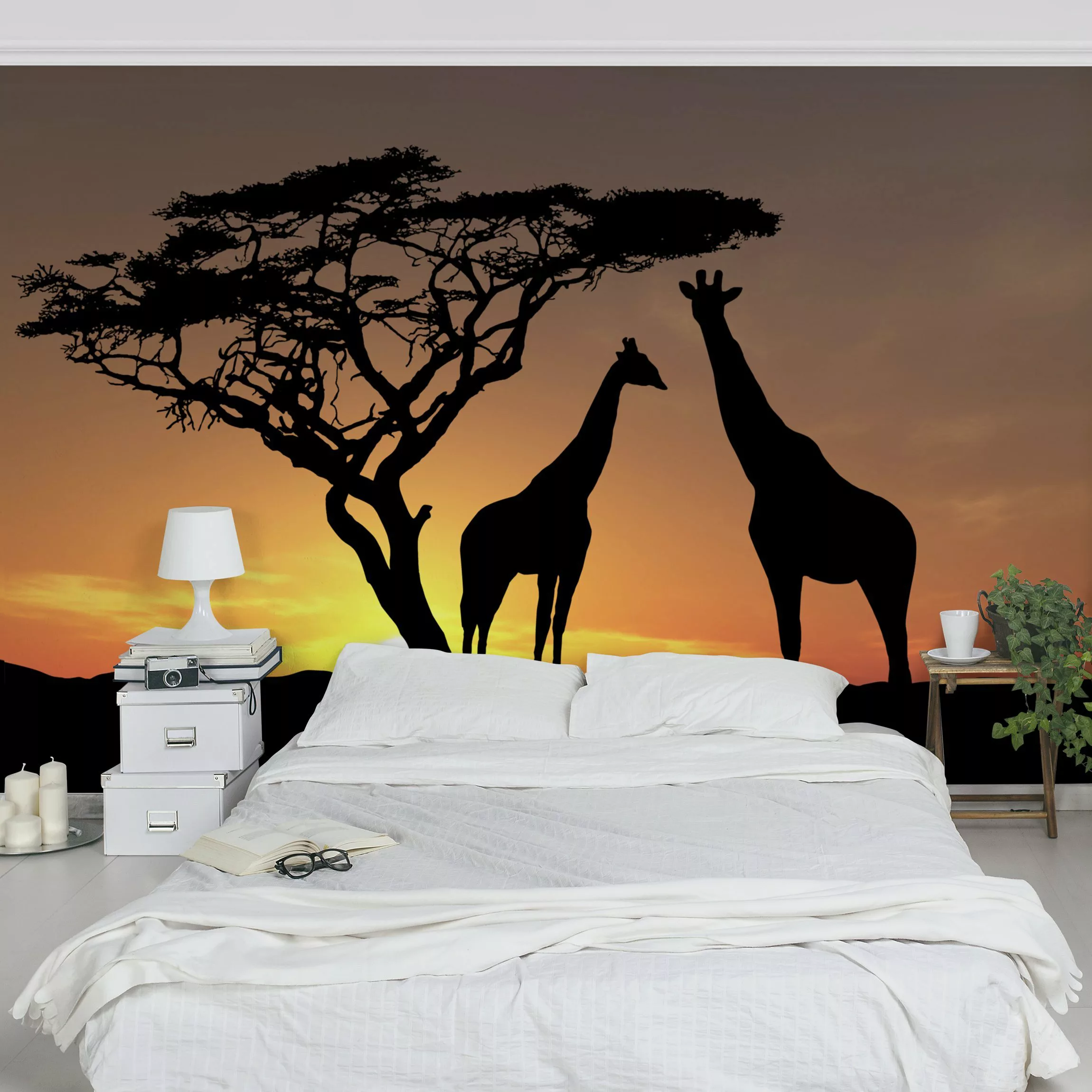 Fototapete African Sunset günstig online kaufen