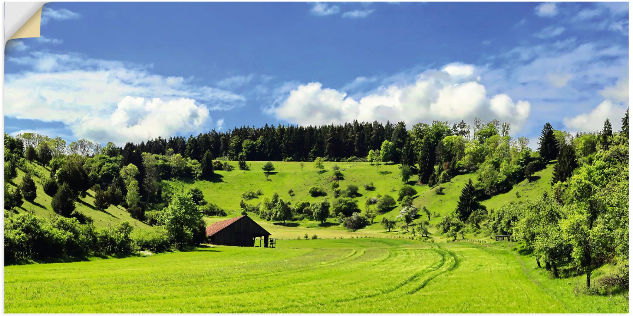 Artland Wandbild »Traumhafte Landschaft im Schwarzwald«, Wiesen & Baumbilde günstig online kaufen