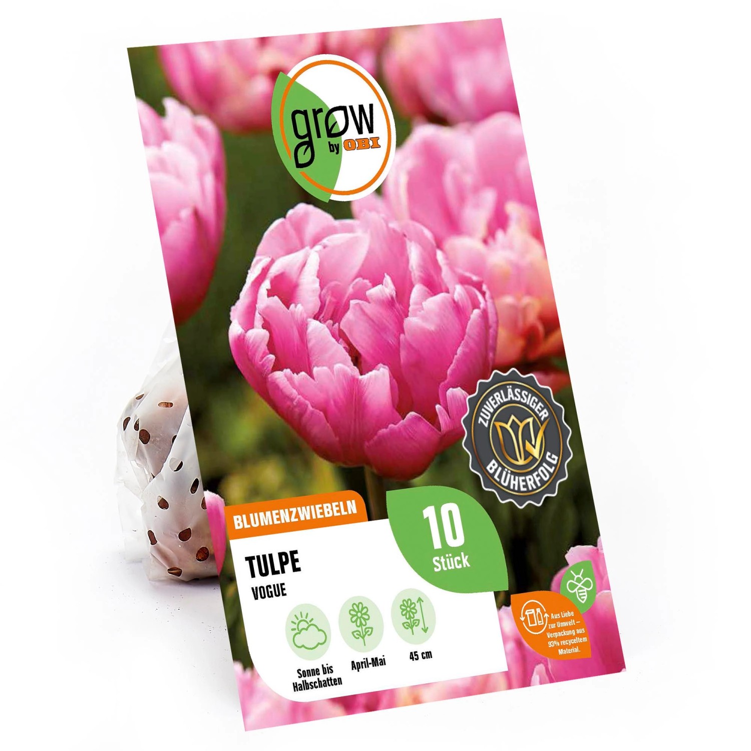 GROW by OBI Pfingstrosen-Tulpe Vogue Rosa-Weiß 45 cm Tulipa günstig online kaufen