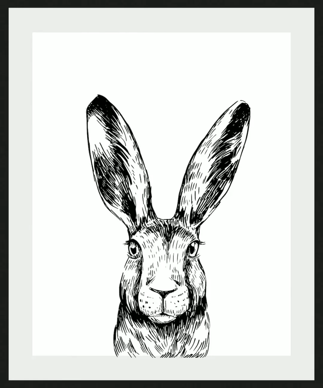 queence Bild "Matias", Hase-Hasen-Schwarz-Weiß-Kunst-Haustiere, (1 St.), HD günstig online kaufen