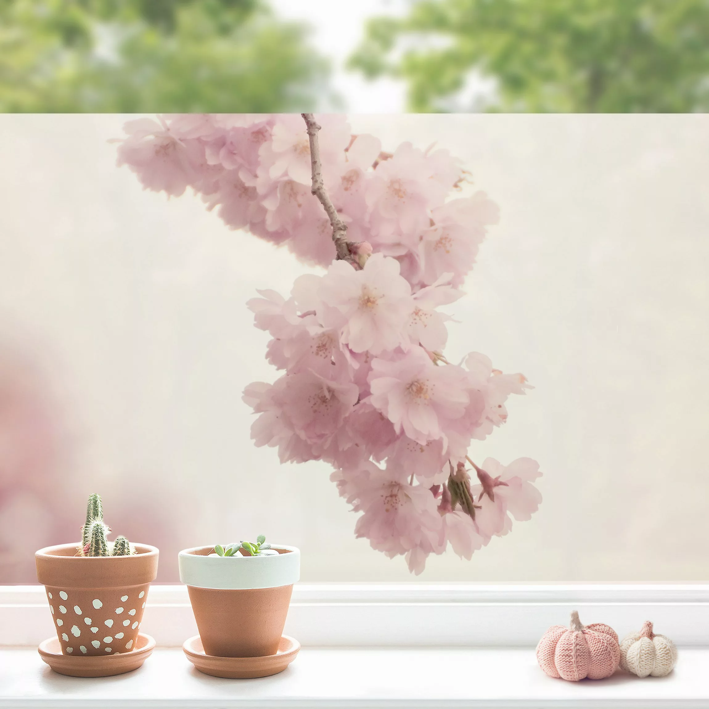 Fensterfolie Zartrosane Frühlingsblüte mit Bokeh günstig online kaufen