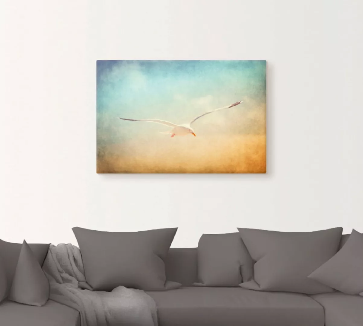 Artland Wandbild »Möwe«, Vögel, (1 St.), als Alubild, Outdoorbild, Leinwand günstig online kaufen