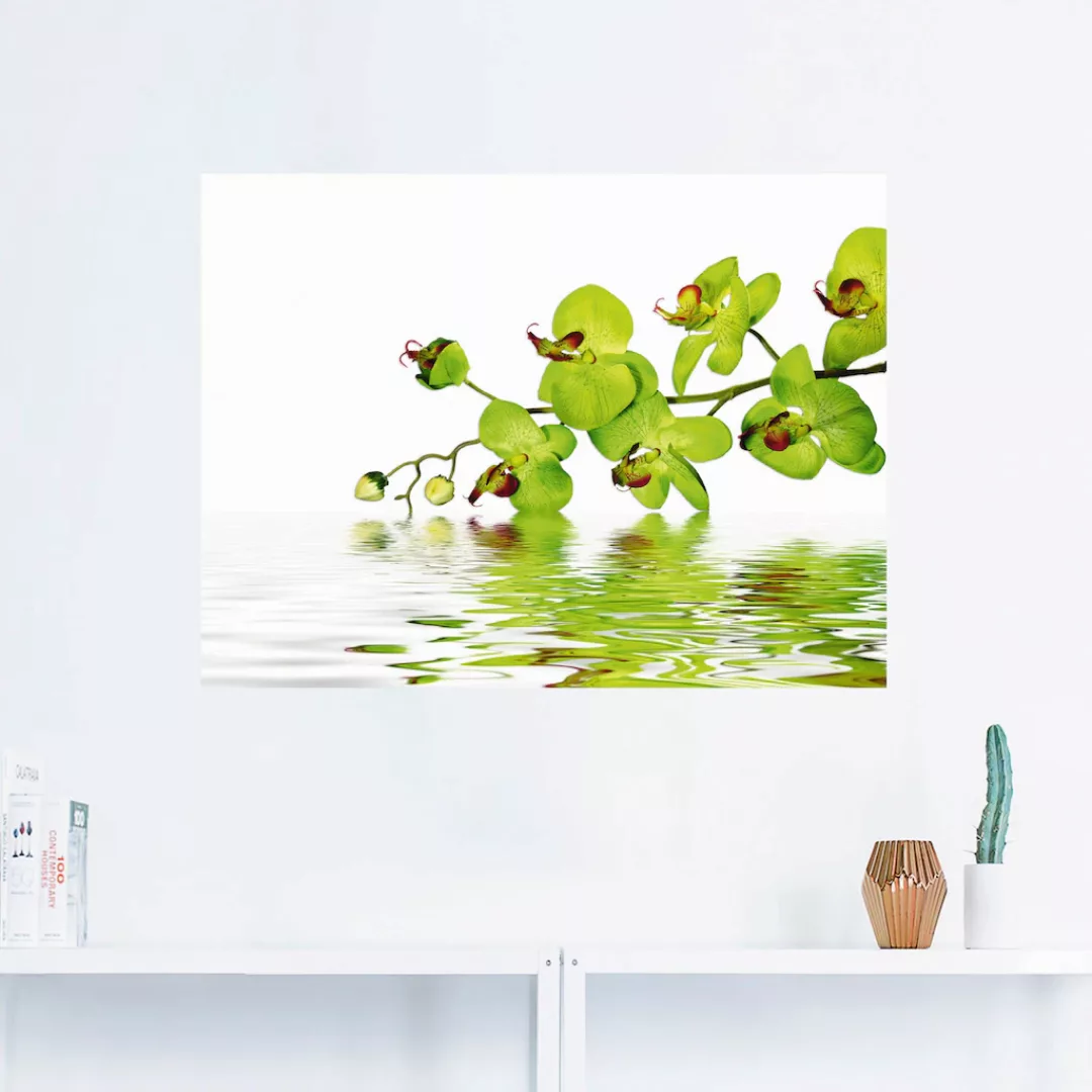 Artland Wandbild "Schöne Orchidee mit grünem Hintergrund", Blumen, (1 St.), günstig online kaufen