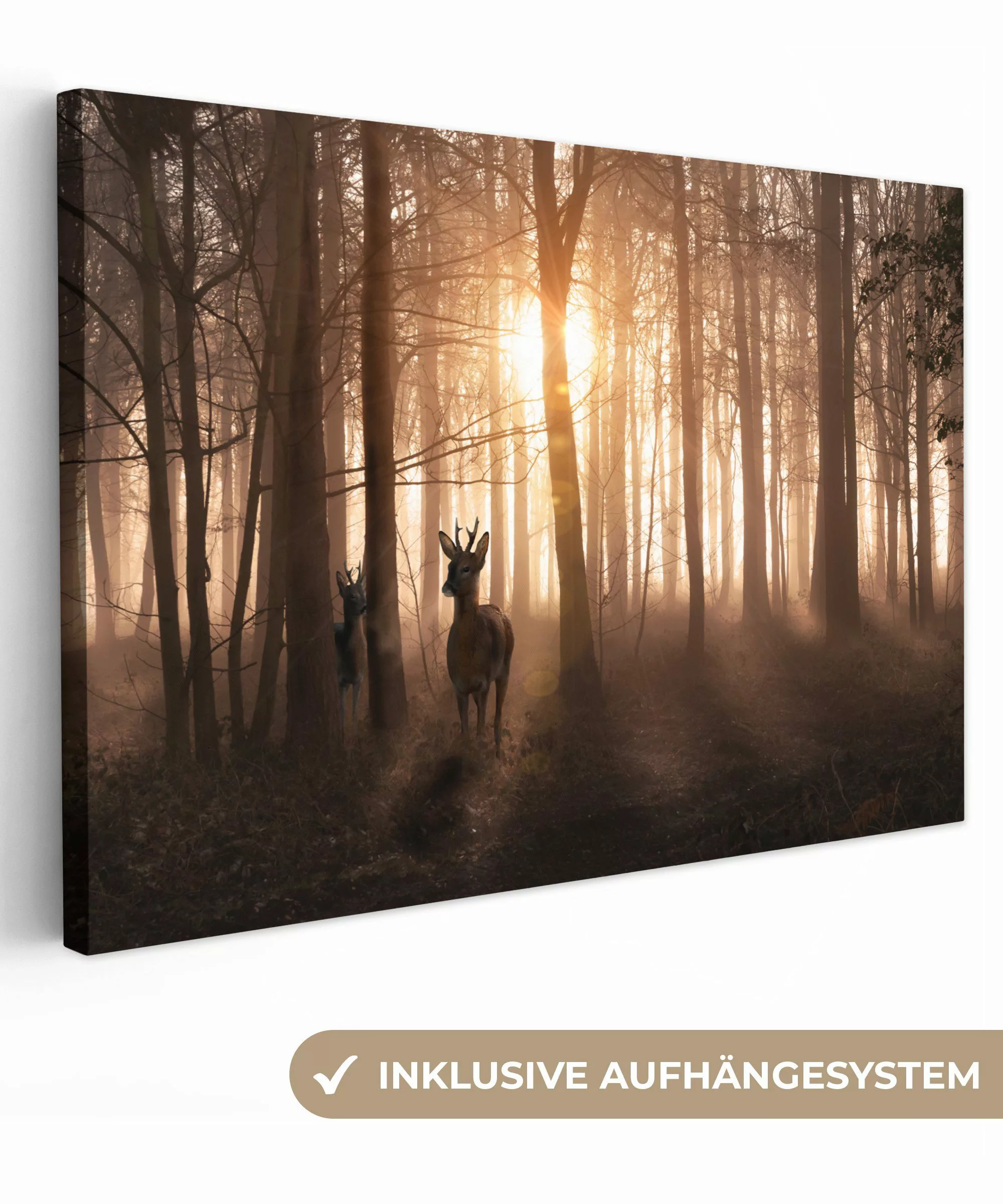 OneMillionCanvasses® Leinwandbild Wald - Hirsche - günstig online kaufen