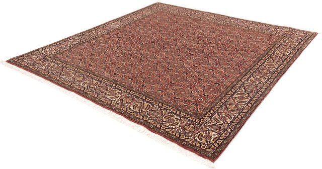 morgenland Orientteppich »Perser - Bidjar quadratisch - 200 x 195 cm - hell günstig online kaufen