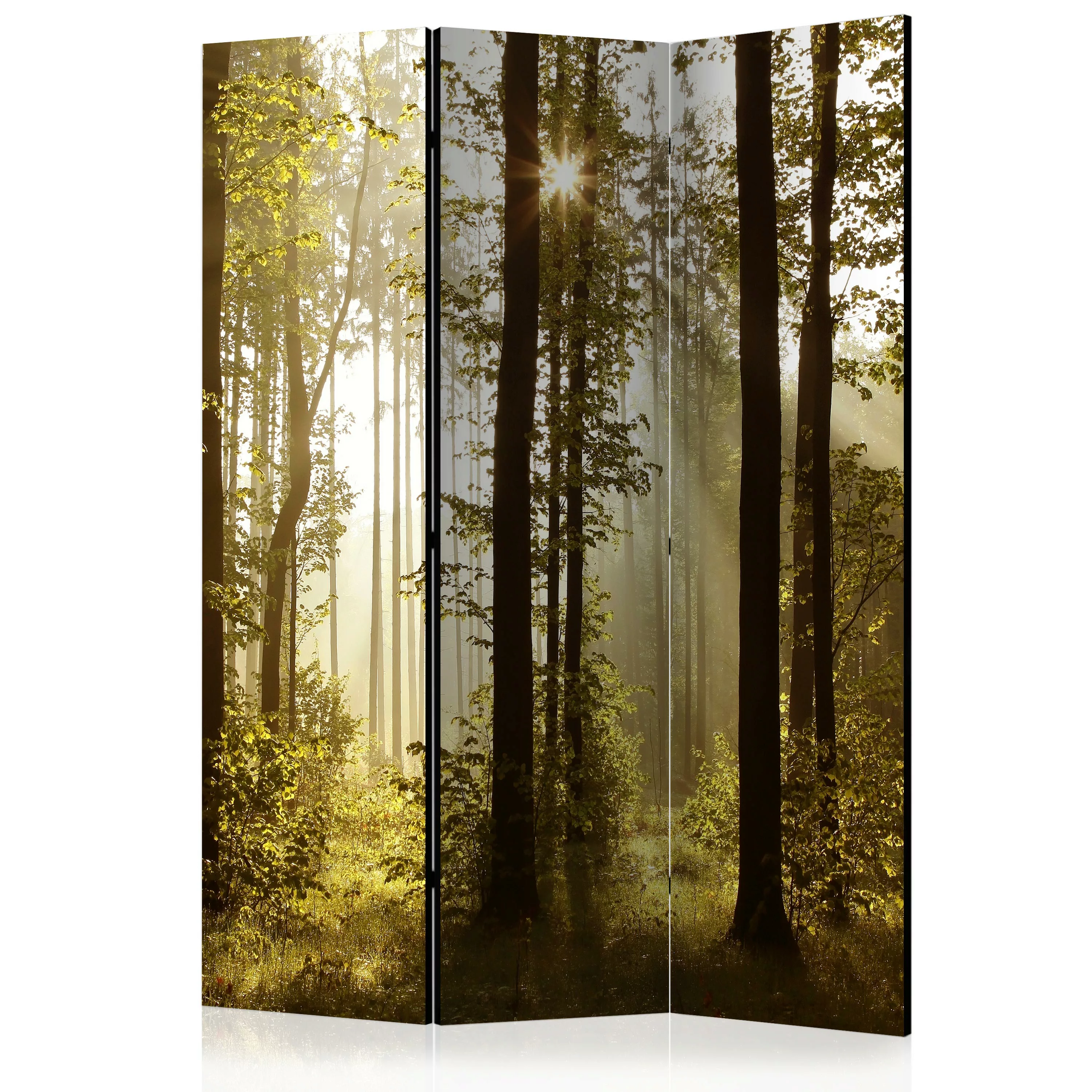 3-teiliges Paravent - Forest: Morning Sunlight  [room Dividers] günstig online kaufen