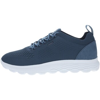 Geox  Sneaker - günstig online kaufen