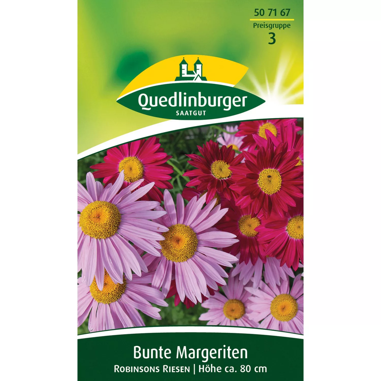 Quedlinburger Bunte Margerite ''Robinsons Riesen'' günstig online kaufen