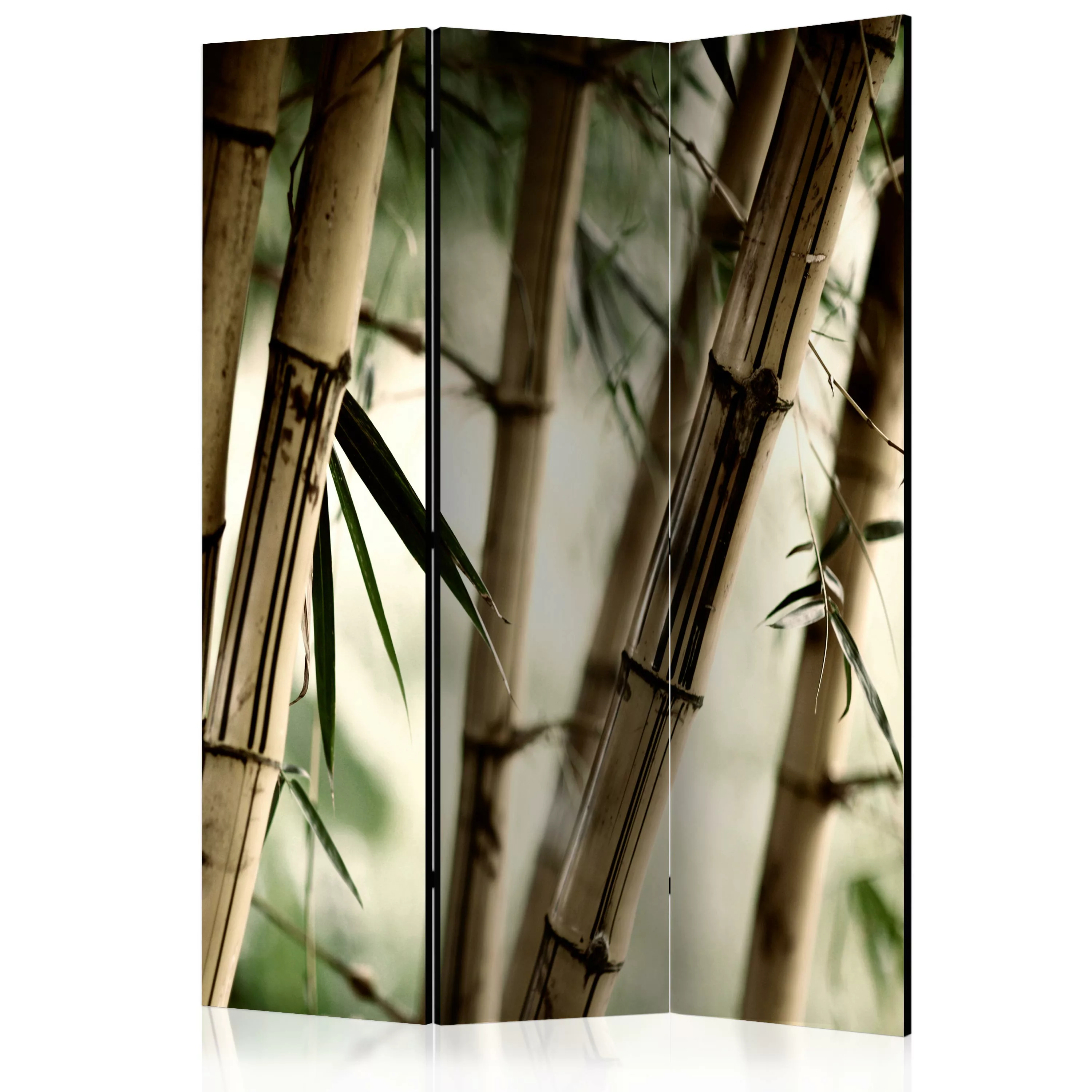 3-teiliges Paravent - Fog And Bamboo Forest [room Dividers] günstig online kaufen