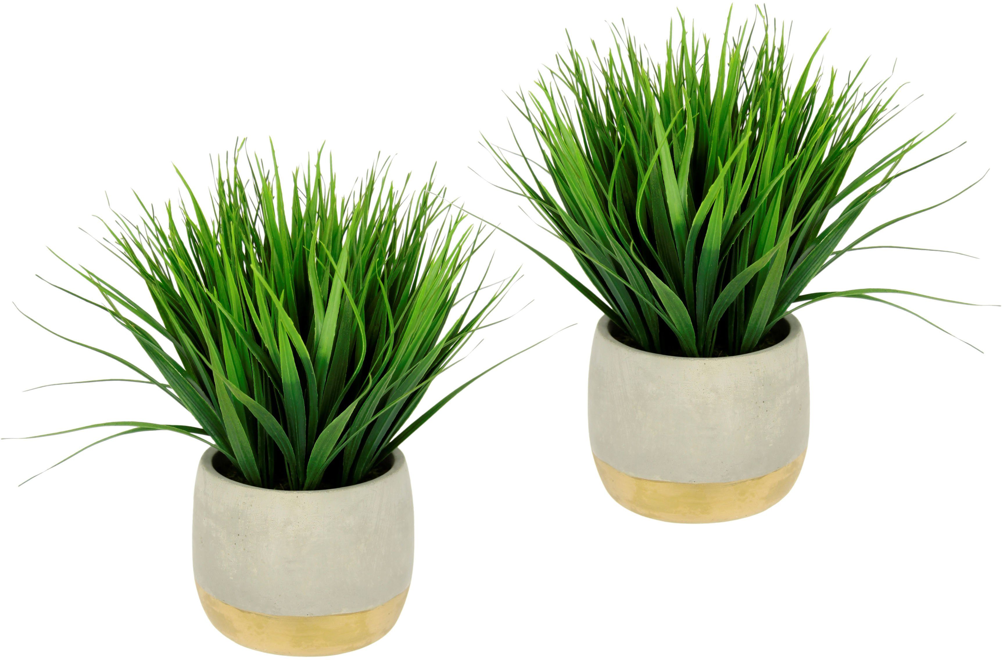 Kunstgras Gras, I.GE.A., Höhe 24 cm, günstig online kaufen