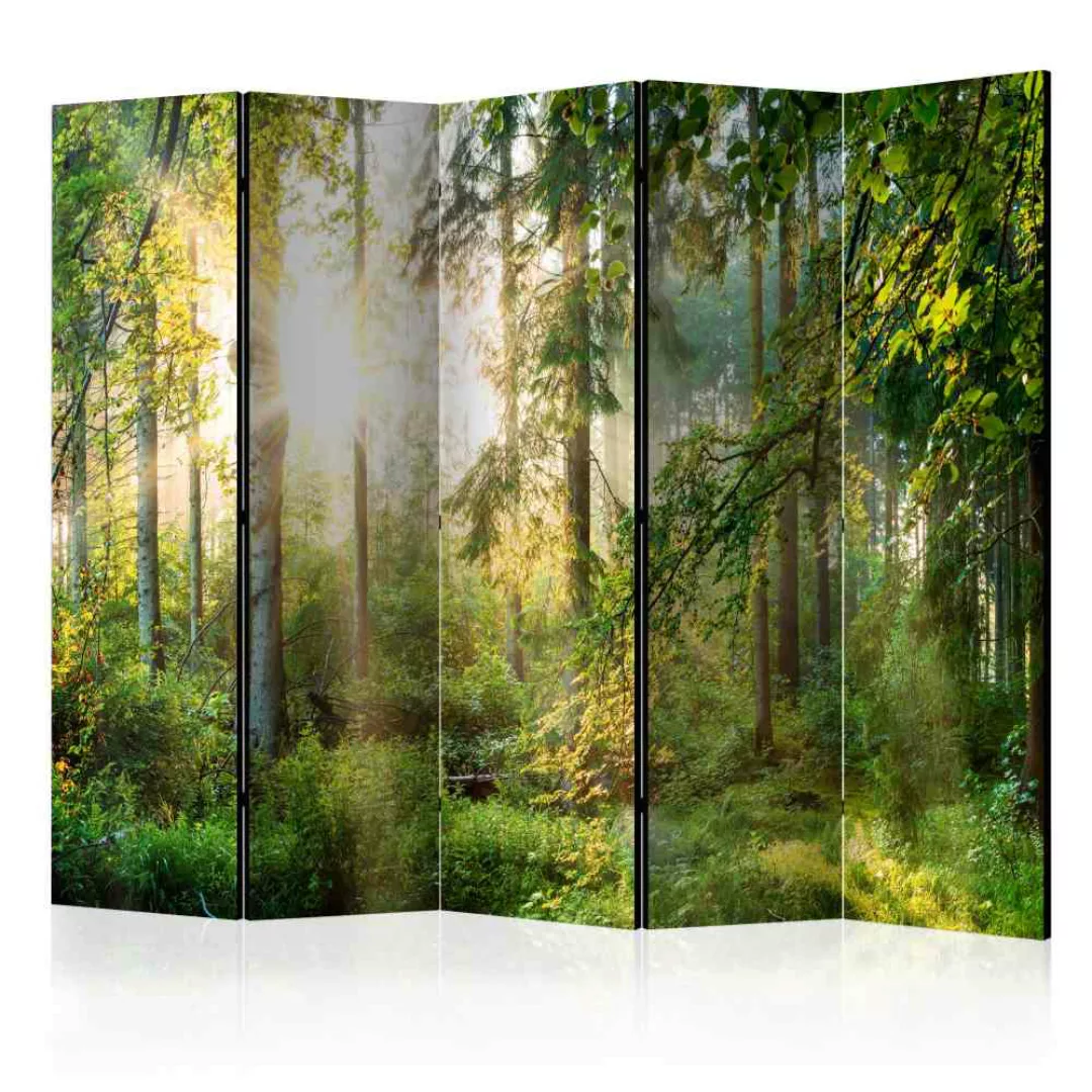 Leinwand Paravent mit Wald Motiv 225 cm breit günstig online kaufen