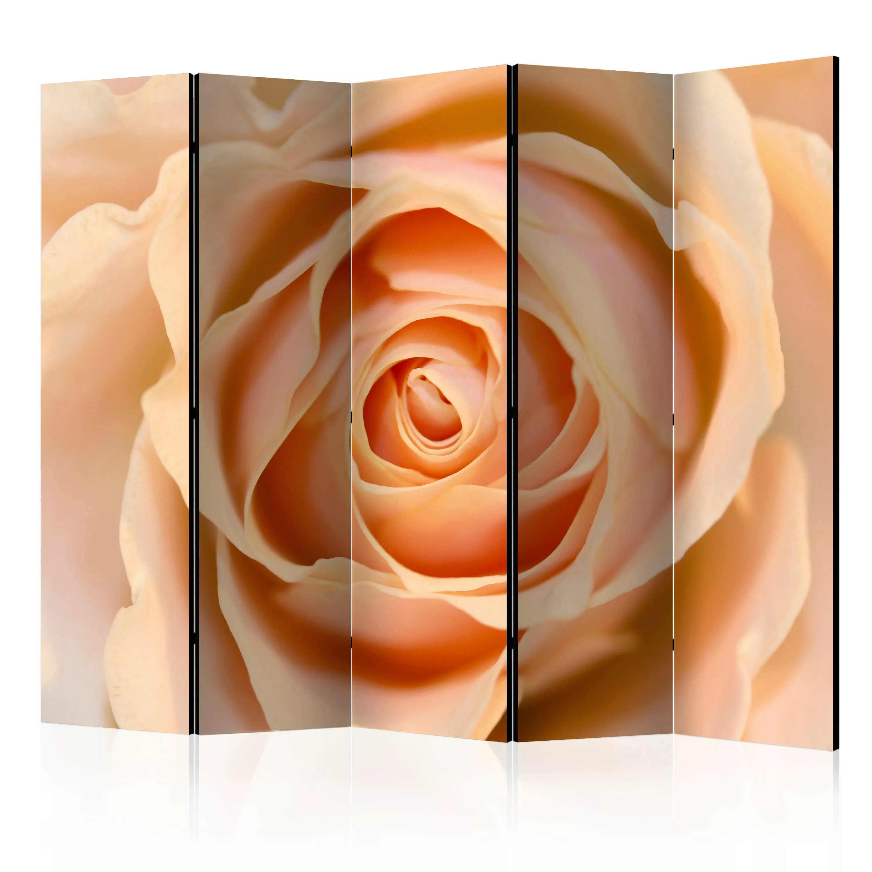 5-teiliges Paravent - Peach-colored Rose Ii [room Dividers] günstig online kaufen