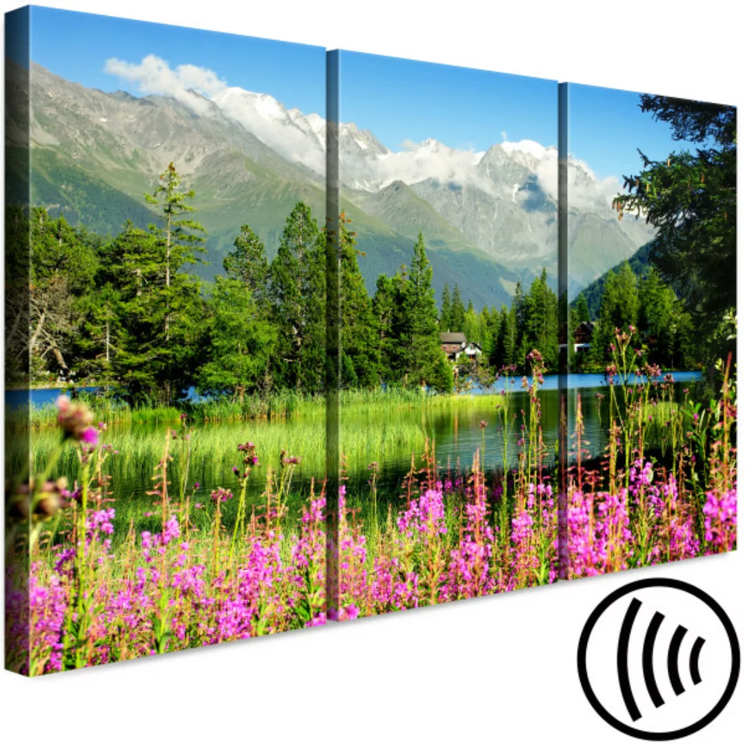 Wandbild Spring in the Alps (3 Parts) XXL günstig online kaufen