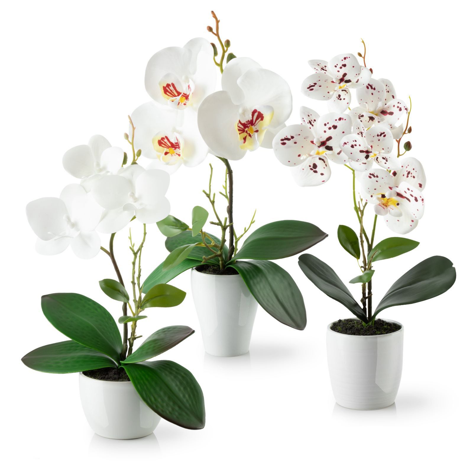 Kunstorchidee 3er Set künstliche Orchideen wie günstig online kaufen