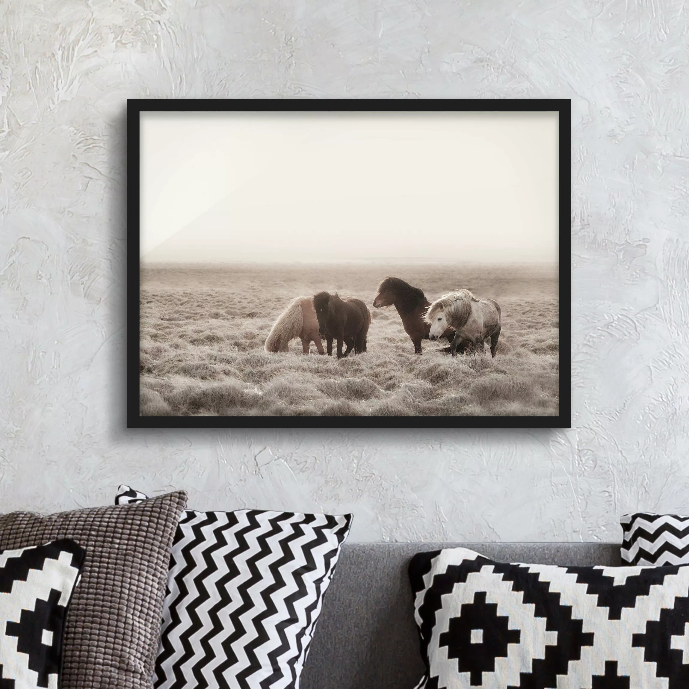 Bild mit Rahmen Island Wildpferde günstig online kaufen