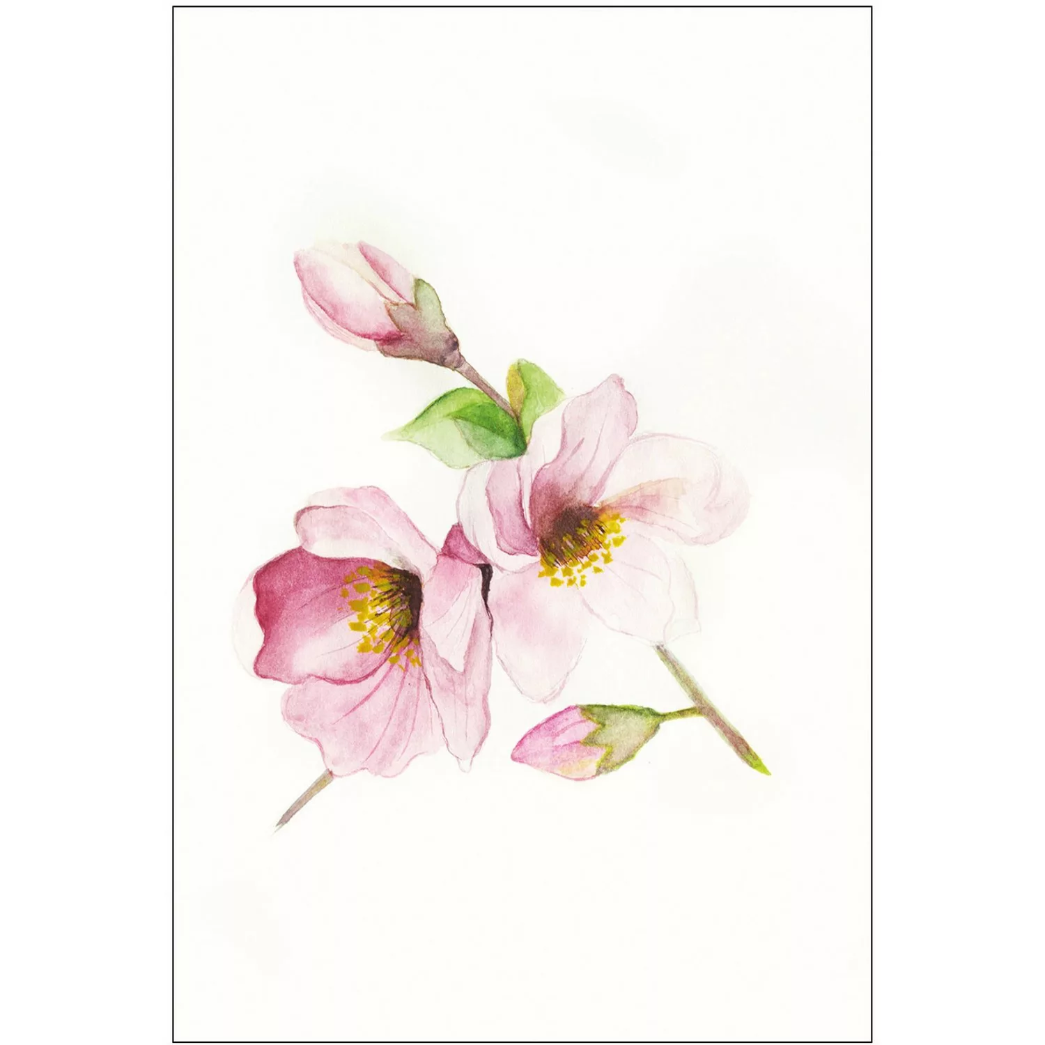 Komar Wandbild Magnolia Breathe 30 x 40 cm günstig online kaufen