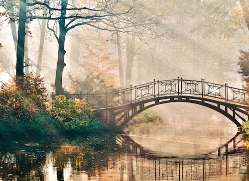 Fototapete Brücke Fluss Wald Grün Braun Weiß 3,50 m x 2,55 m FSC® günstig online kaufen