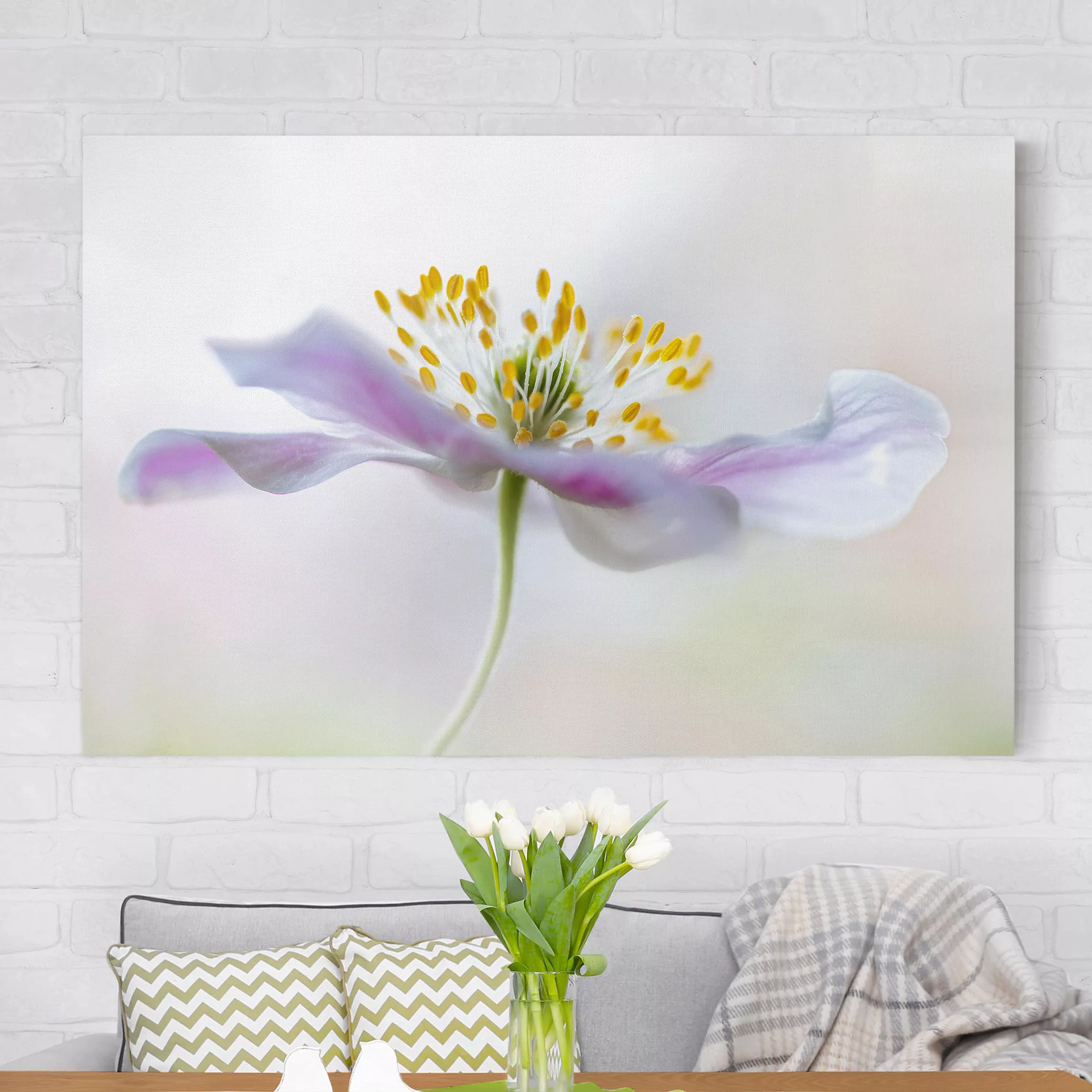 Leinwandbild Blumen - Querformat Buschwindröschen in Weiß günstig online kaufen