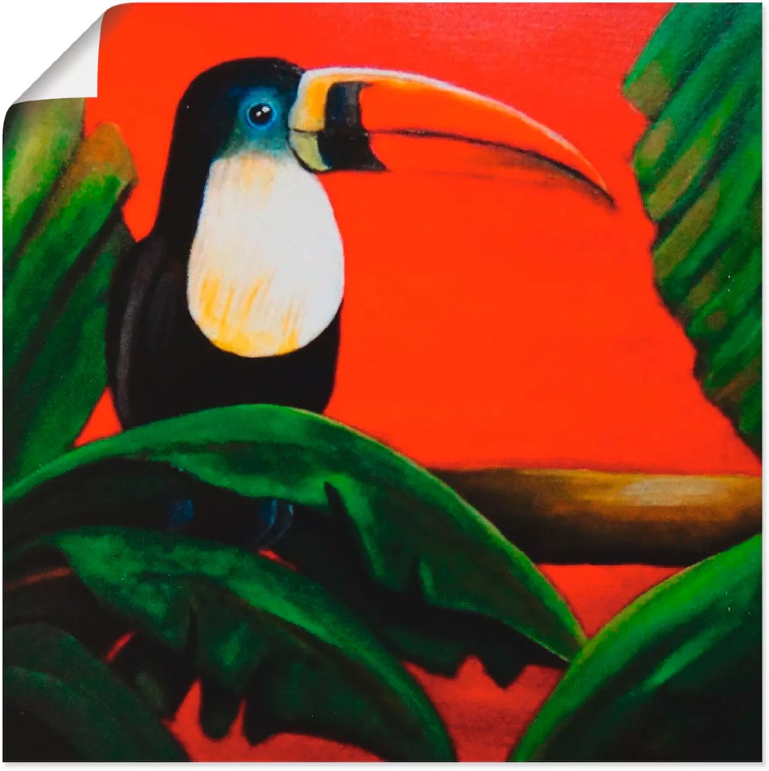 Artland Wandbild "Tukan", Vögel, (1 St.), als Poster, Wandaufkleber in vers günstig online kaufen