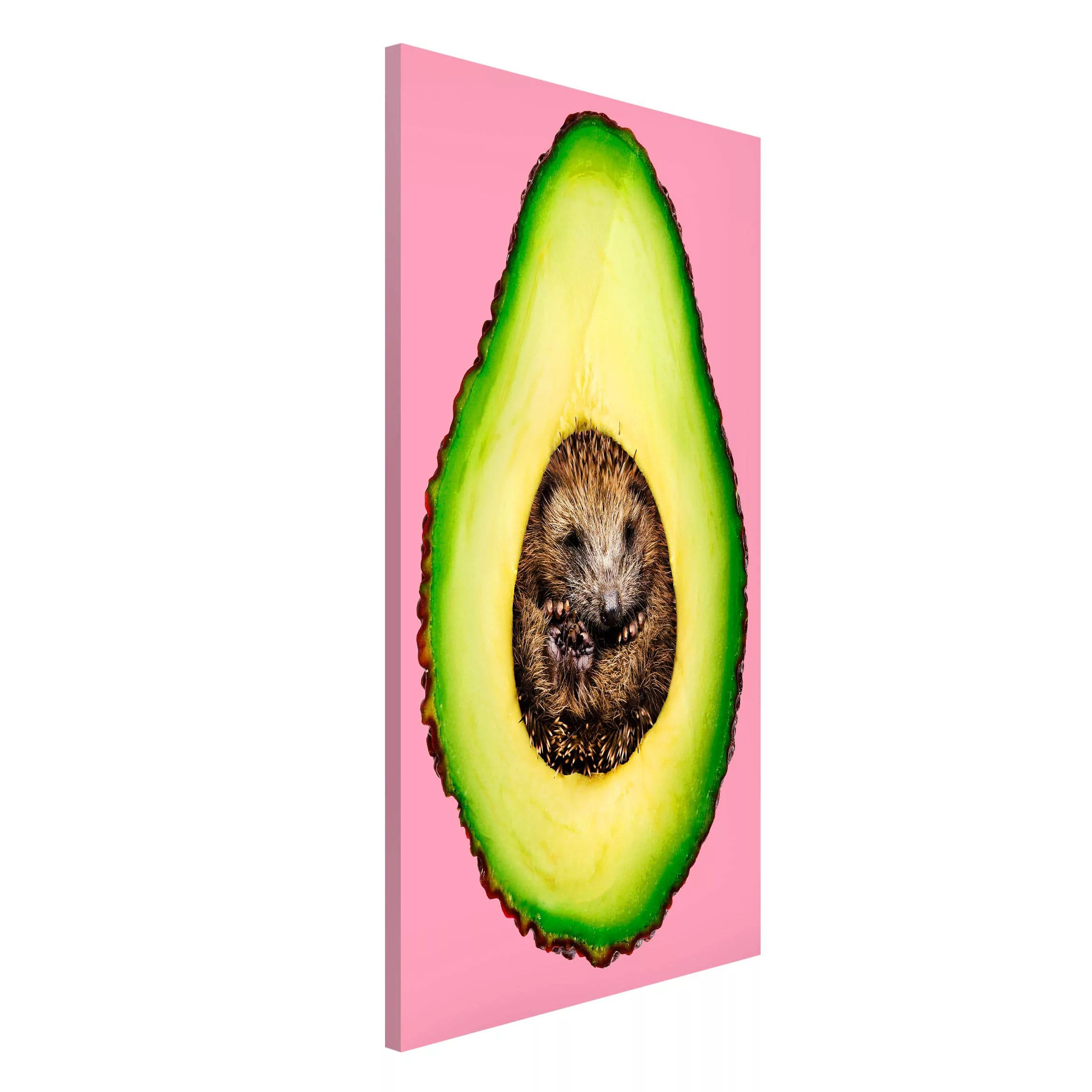 Magnettafel Küche - Hochformat 3:4 Avocado mit Igel günstig online kaufen