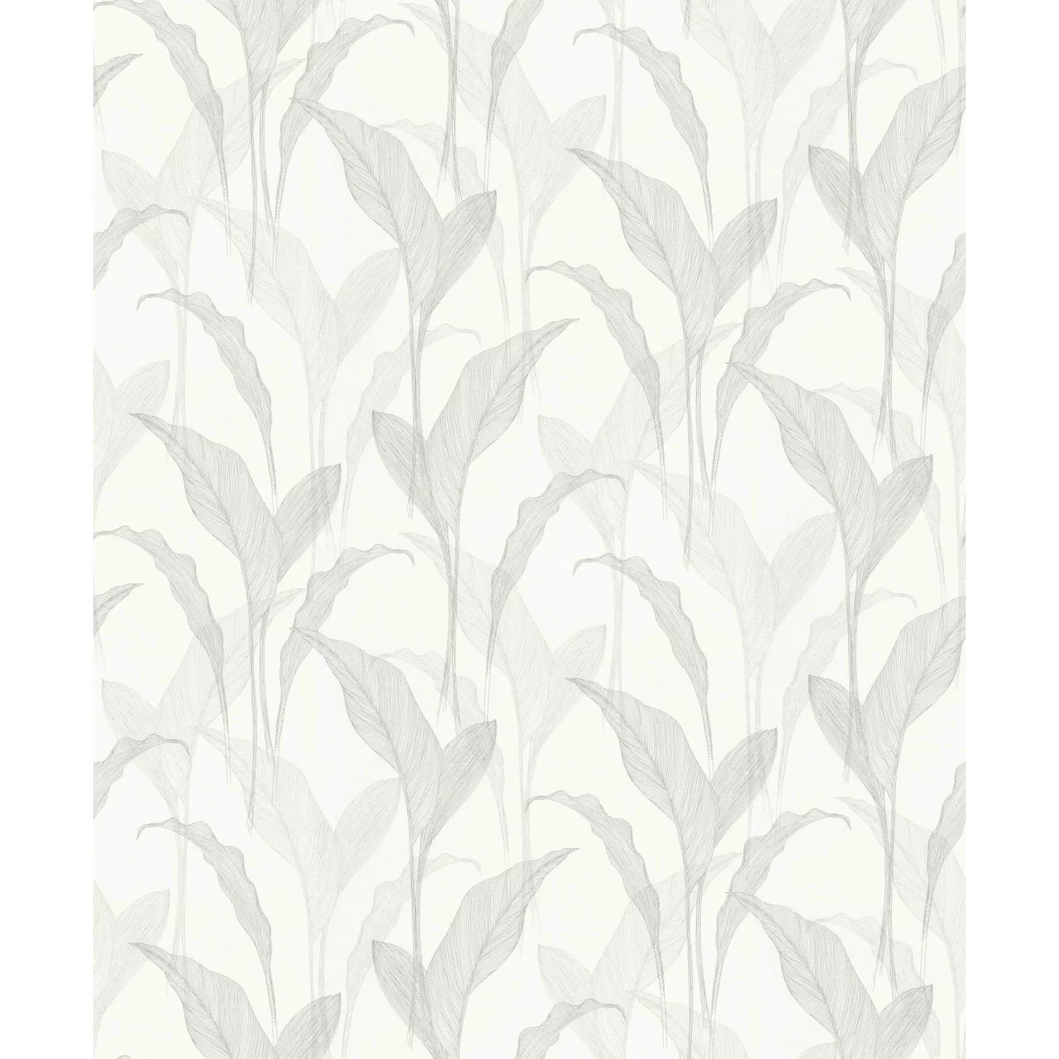 Bricoflor Blätter Vliestapete in Weiß Grau Moderne Tapete mit Mais Blättern günstig online kaufen