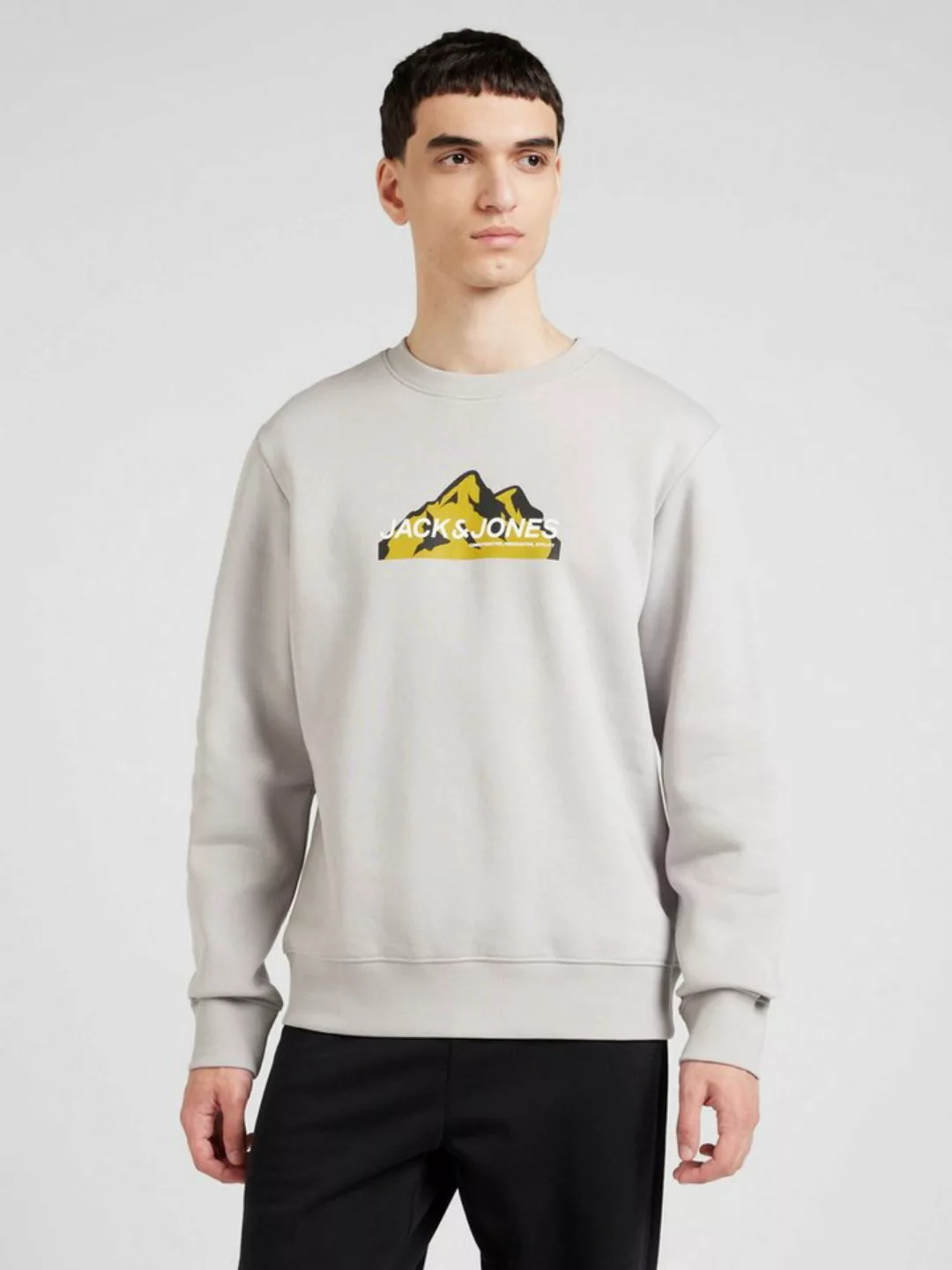 Jack & Jones Sweatshirt (1-tlg) günstig online kaufen