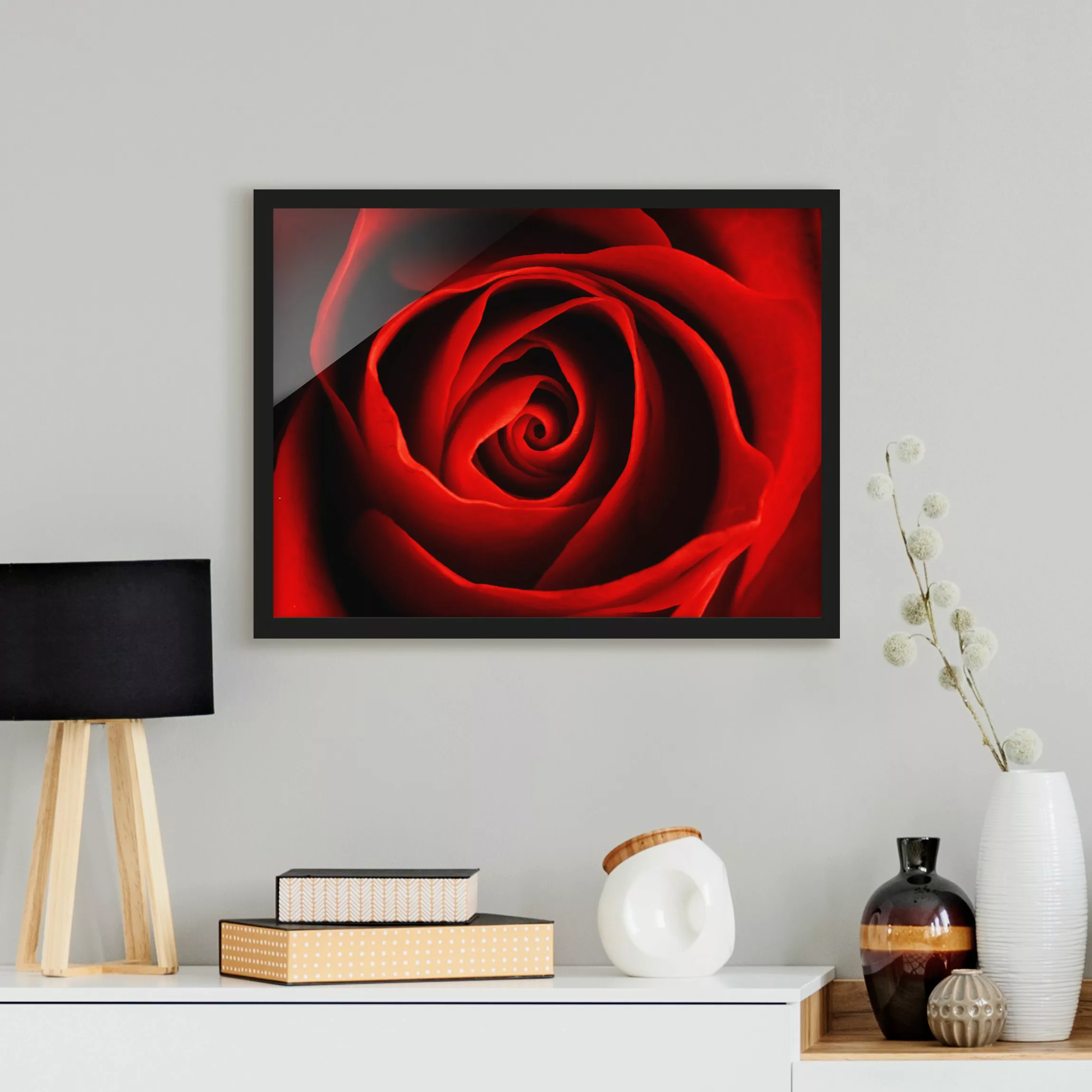 Bild mit Rahmen Blumen - Querformat Liebliche Rose günstig online kaufen