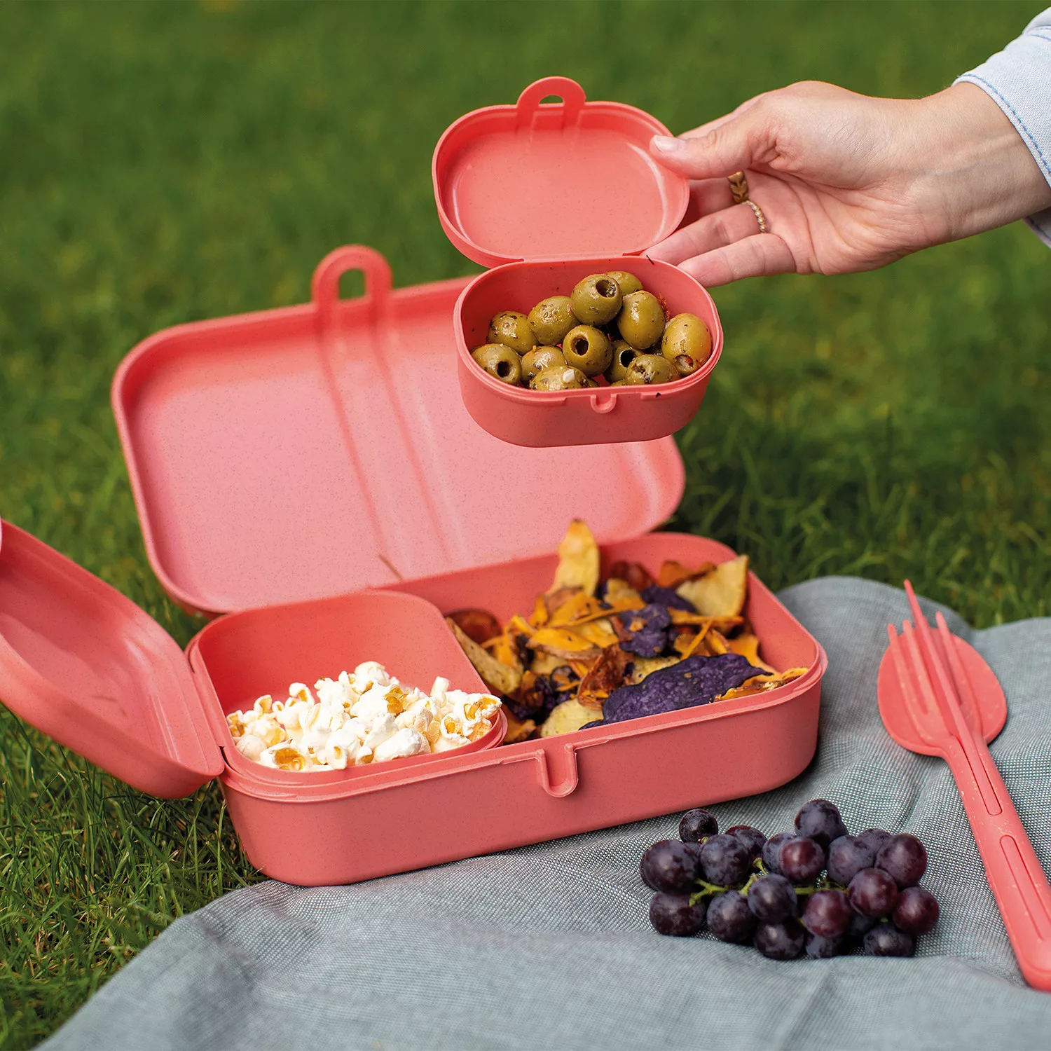 koziol PASCAL READY Lunchbox-Set + Besteck-Set, 4er-Set Lunchboxen koralle günstig online kaufen