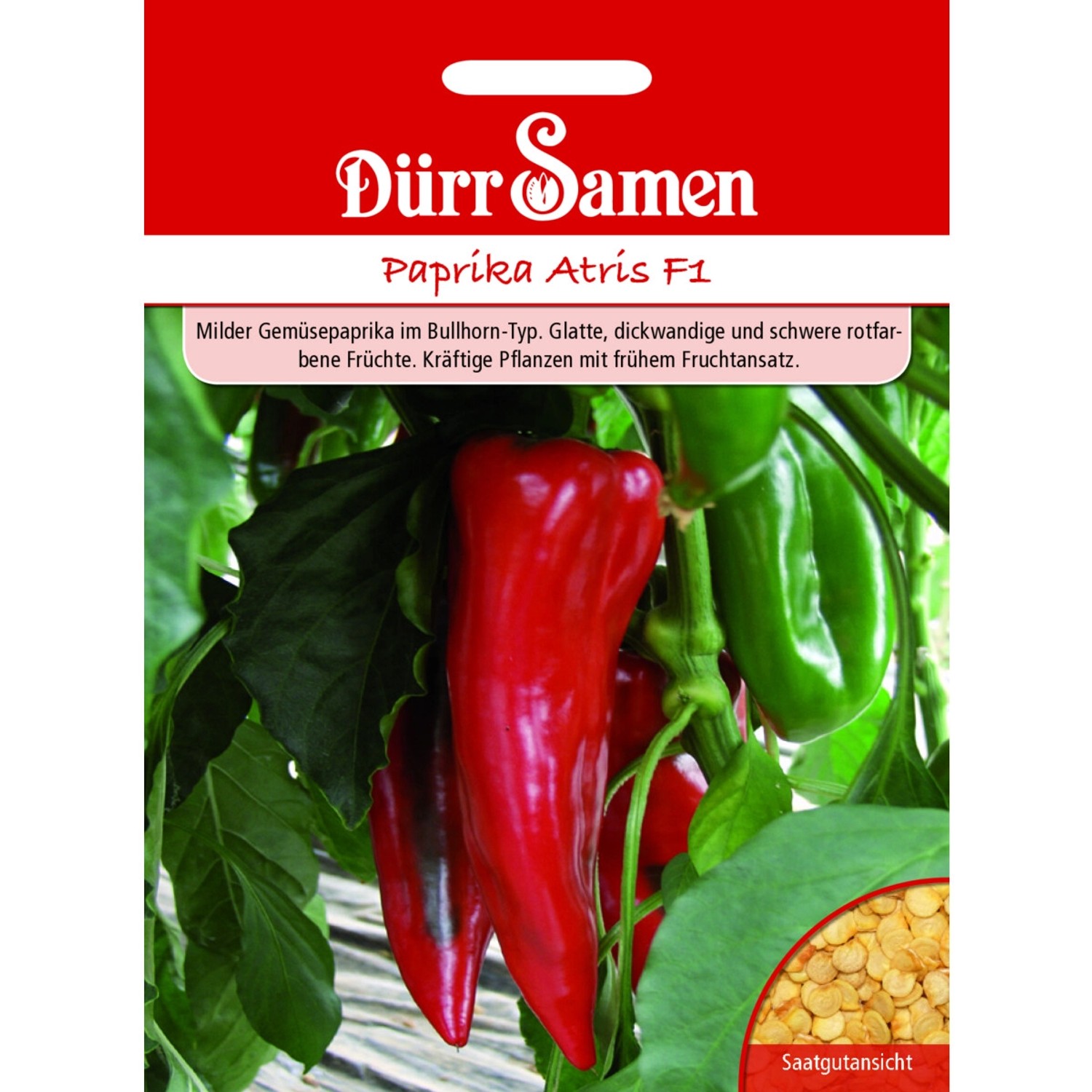 Dürr Samen Paprika Atris F1 Saatgut günstig online kaufen