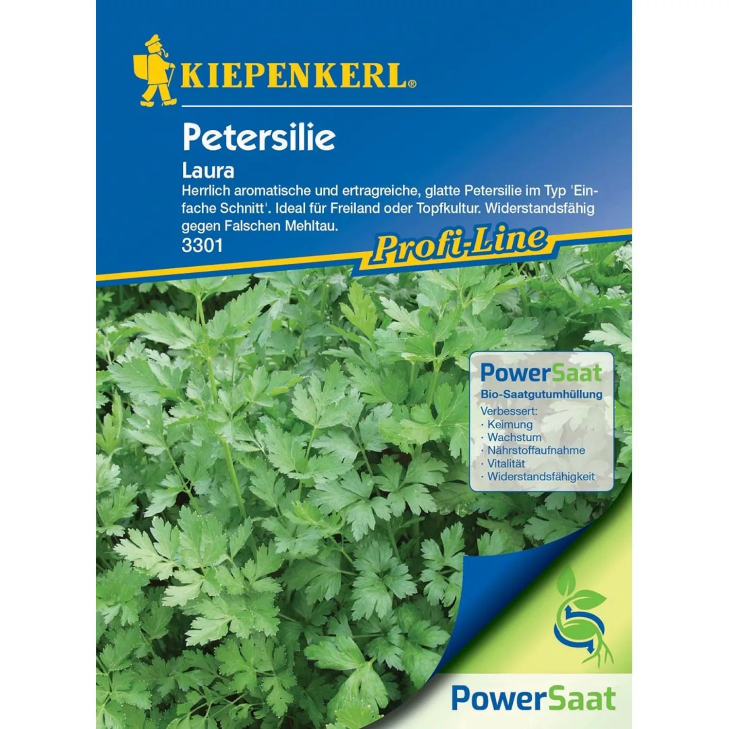 Kiepenkerl Petersilie Laura (Petroselinum crispum) günstig online kaufen