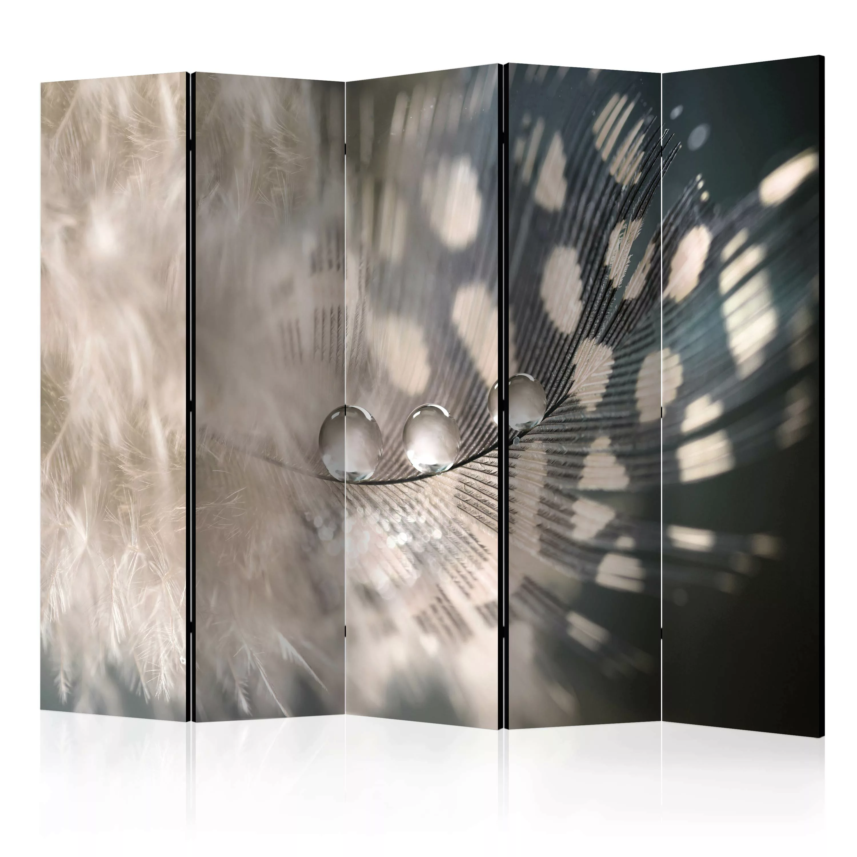 5-teiliges Paravent - Elegant Feather Ii [room Dividers] günstig online kaufen