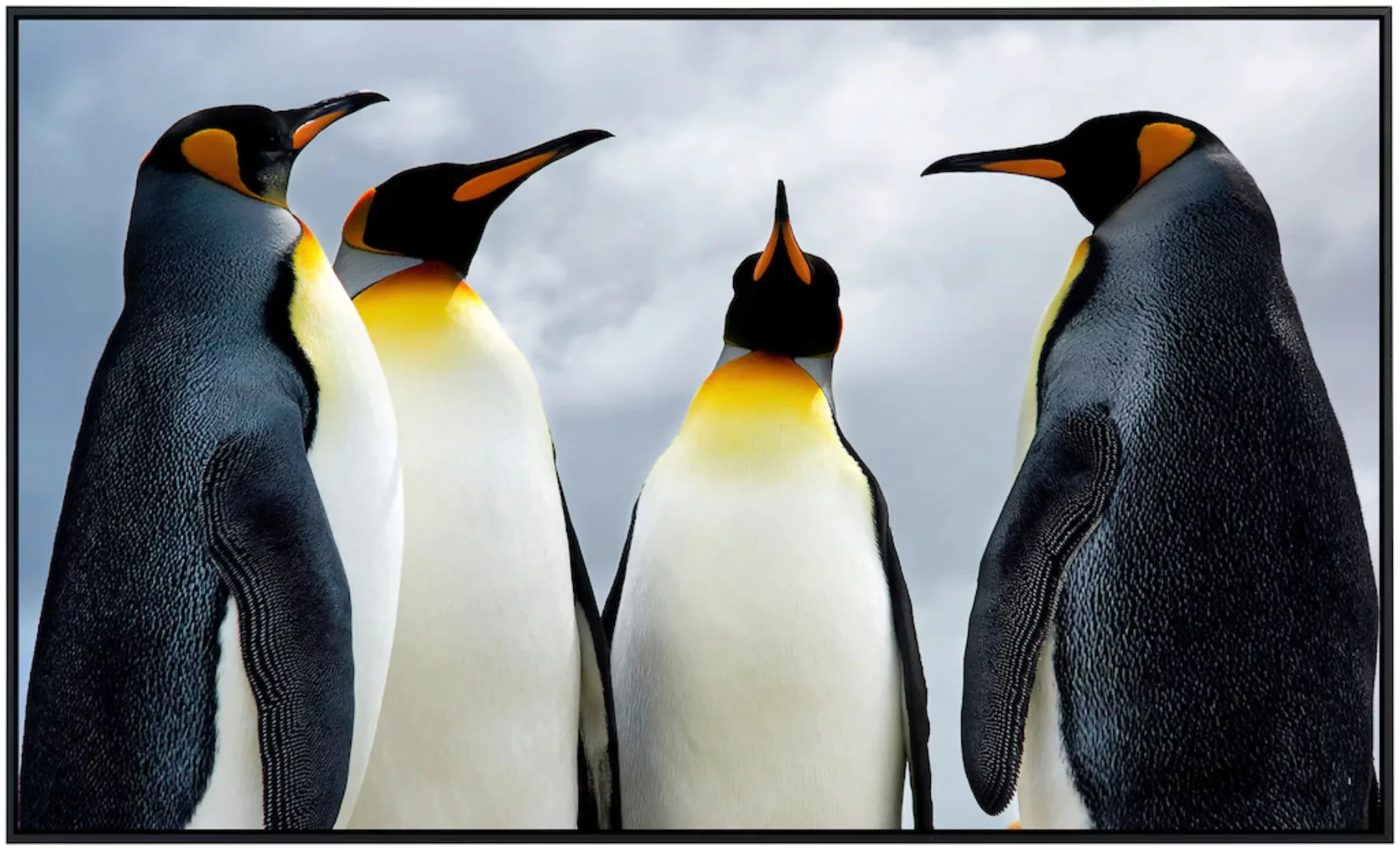 Papermoon Infrarotheizung »König Pinguins«, sehr angenehme Strahlungswärme günstig online kaufen