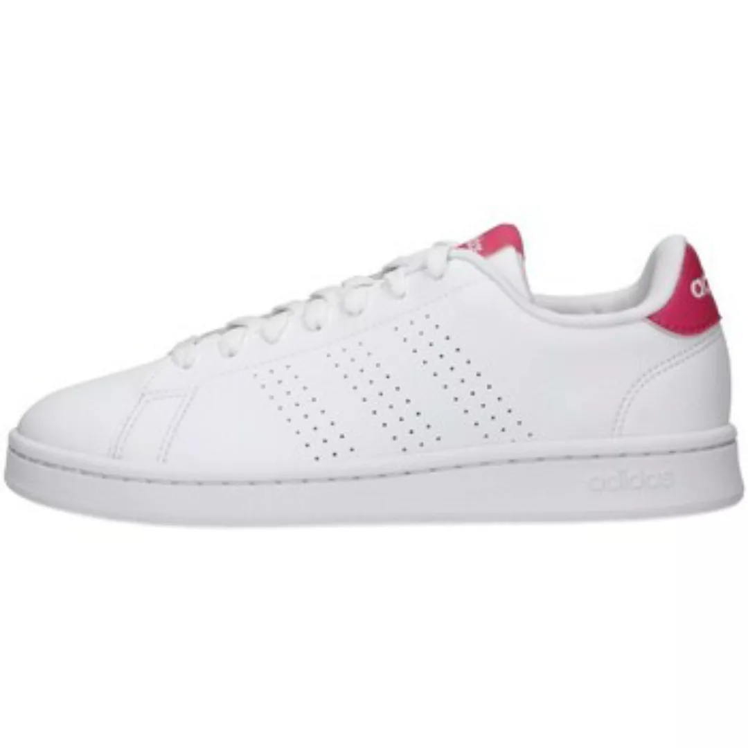 adidas  Sneaker IF5406 günstig online kaufen