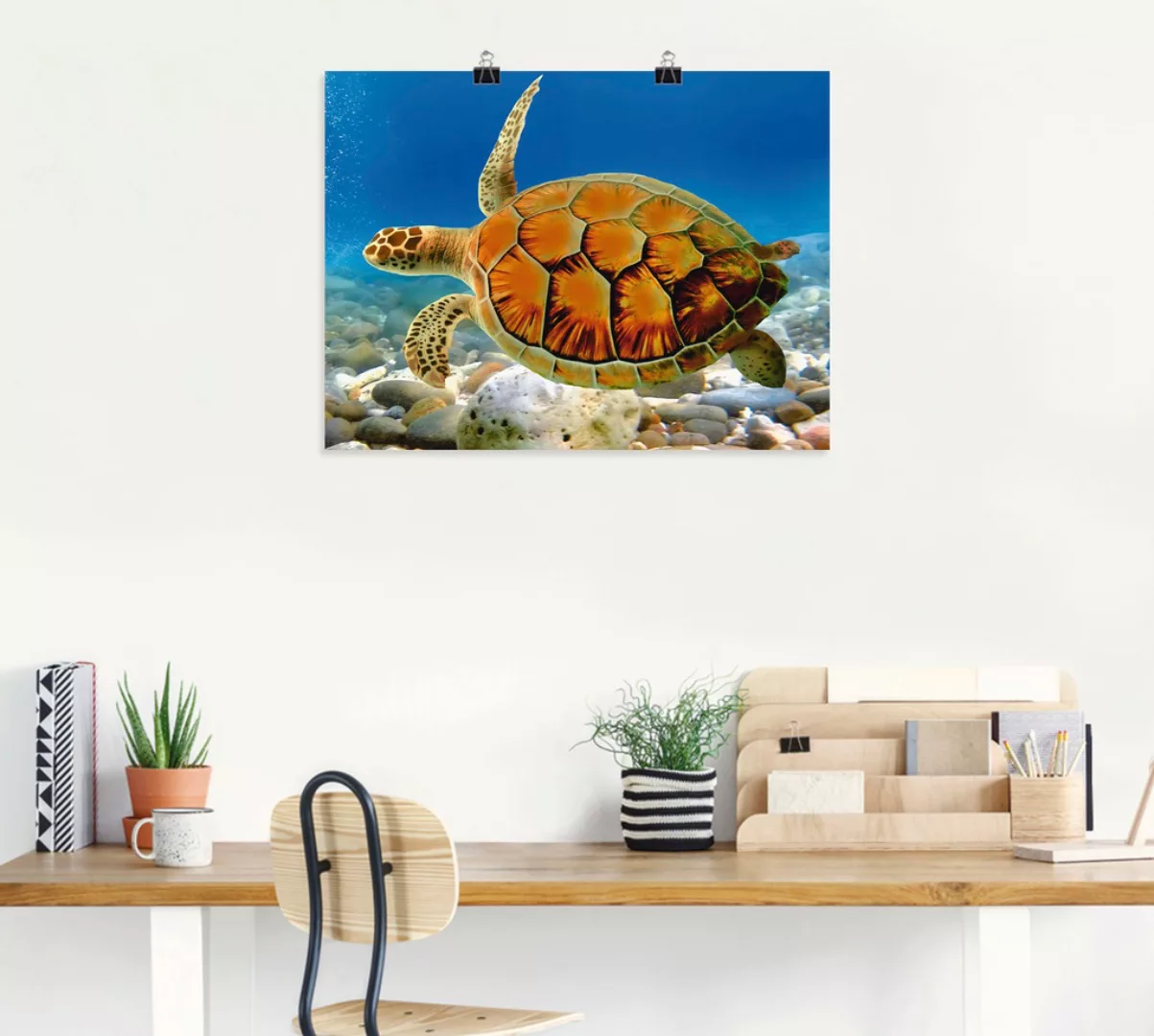 Artland Wandbild »Schildkröte«, Wassertiere, (1 St.) günstig online kaufen