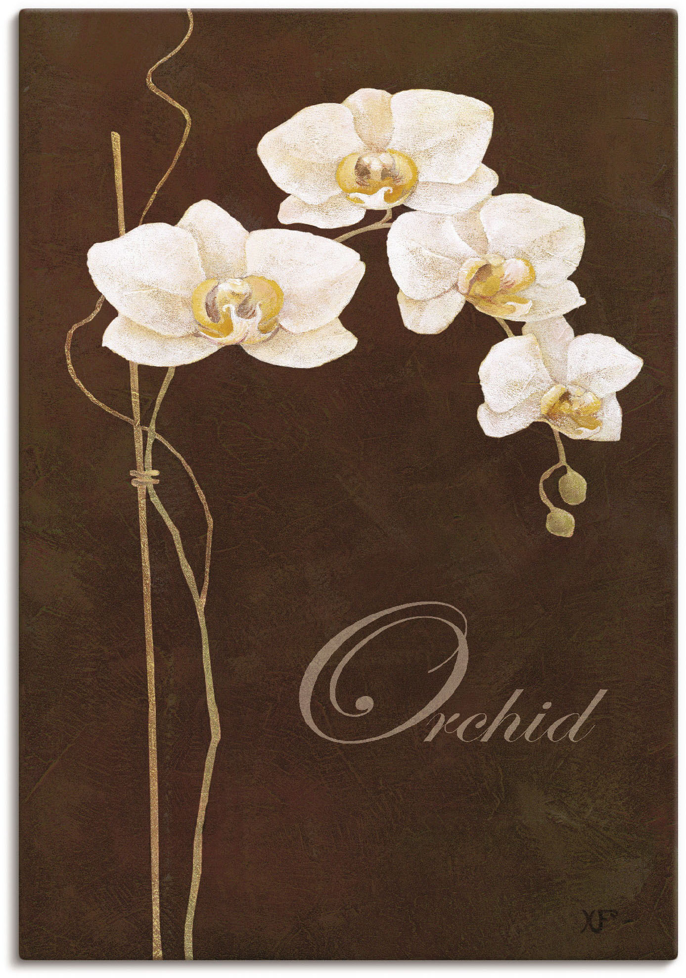 Artland Wandbild "Zarte Orchidee", Blumen, (1 St.), als Leinwandbild, Poste günstig online kaufen