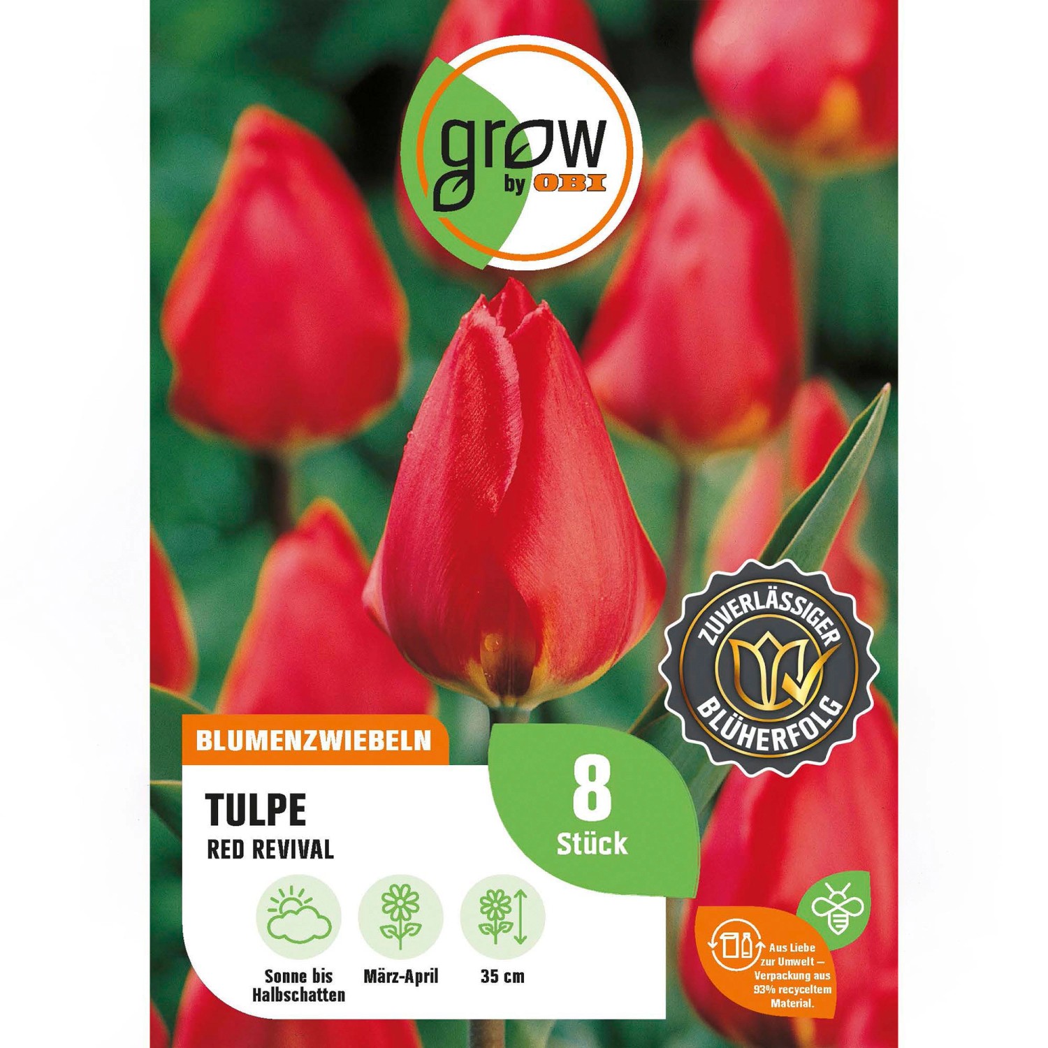 GROW by OBI Tulpe Red Revival Rot 8 Stück Tulipa single early  Red Revival günstig online kaufen