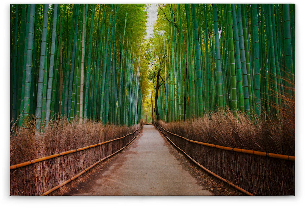 A.S. Création Leinwandbild "Bambus Walk", (1 St.), Feldweg Bambus Natur Kei günstig online kaufen