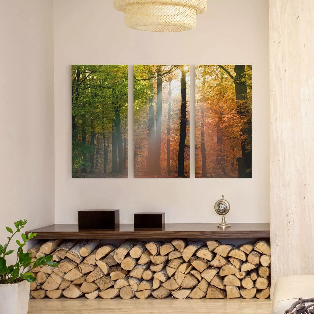 3-teiliges Leinwandbild Wald - Querformat Morning Light günstig online kaufen