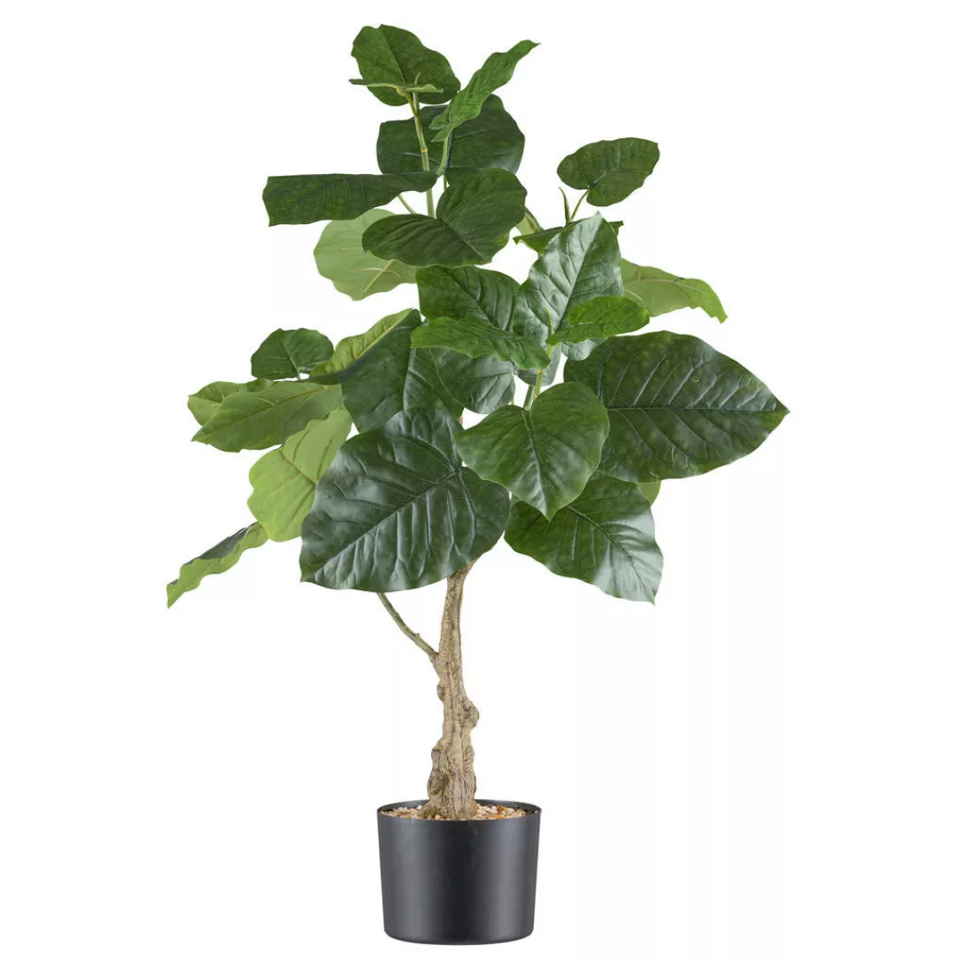 Kunstpflanze Ficus Petiolaris grün Kunststoff B/H/L: ca. 21x85x21 cm günstig online kaufen