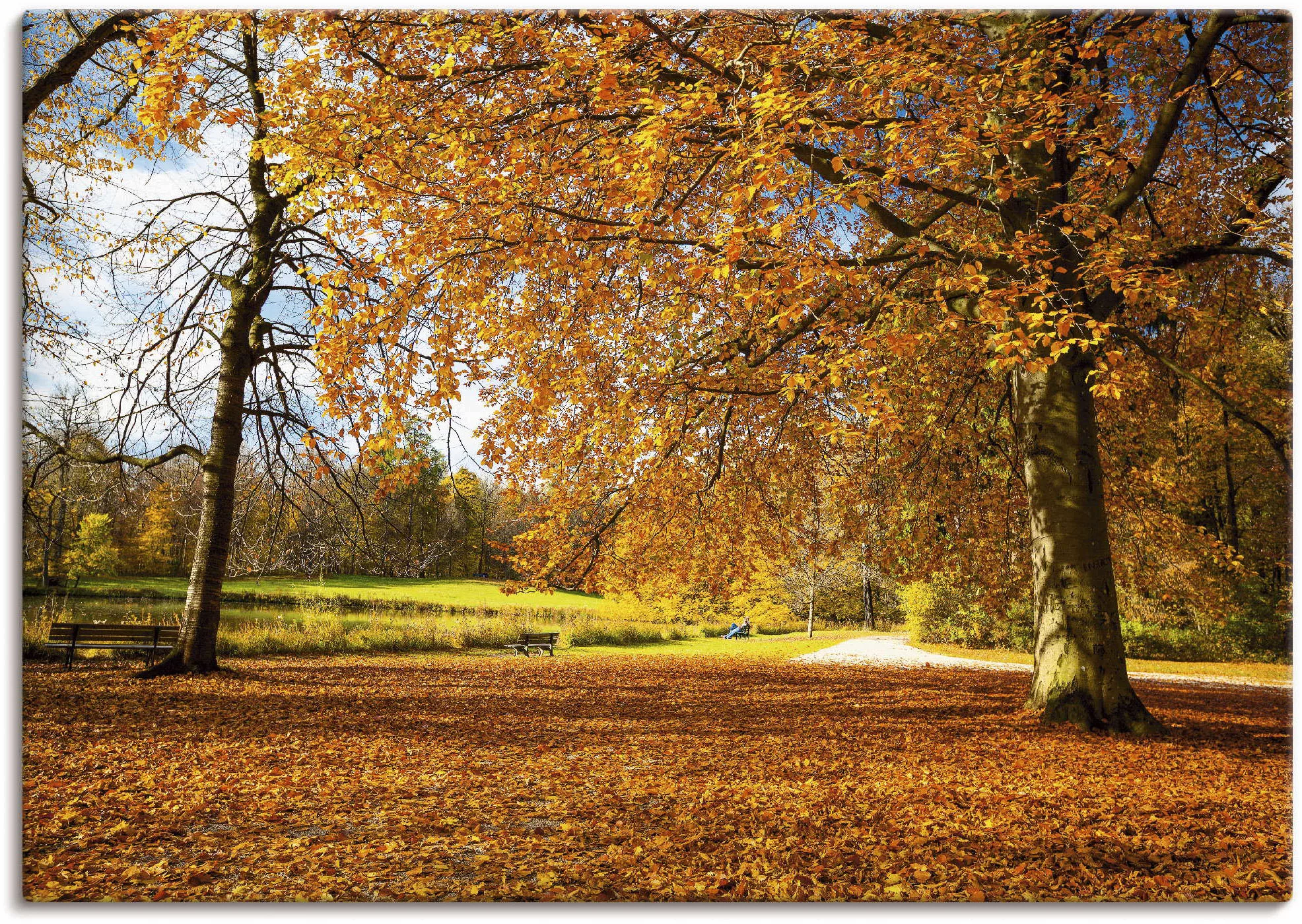 Artland Wandbild »Herbst bei Schlosses Nymphenburg«, Wiesen & Bäume, (1 St. günstig online kaufen