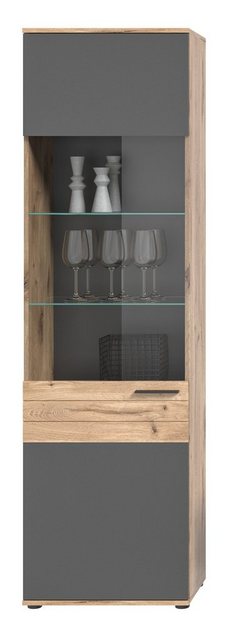 furnling Vitrine Moskau 57 x 200 x 37 cm, Eiche/Grau mit Softclose-Funktion günstig online kaufen