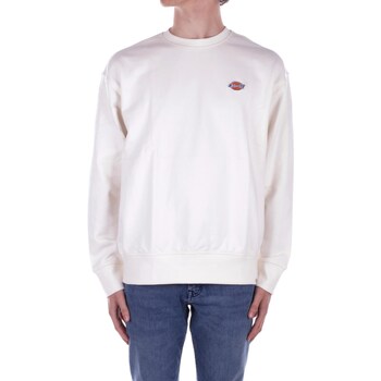 Dickies  Pullover DK0A4YLZ günstig online kaufen