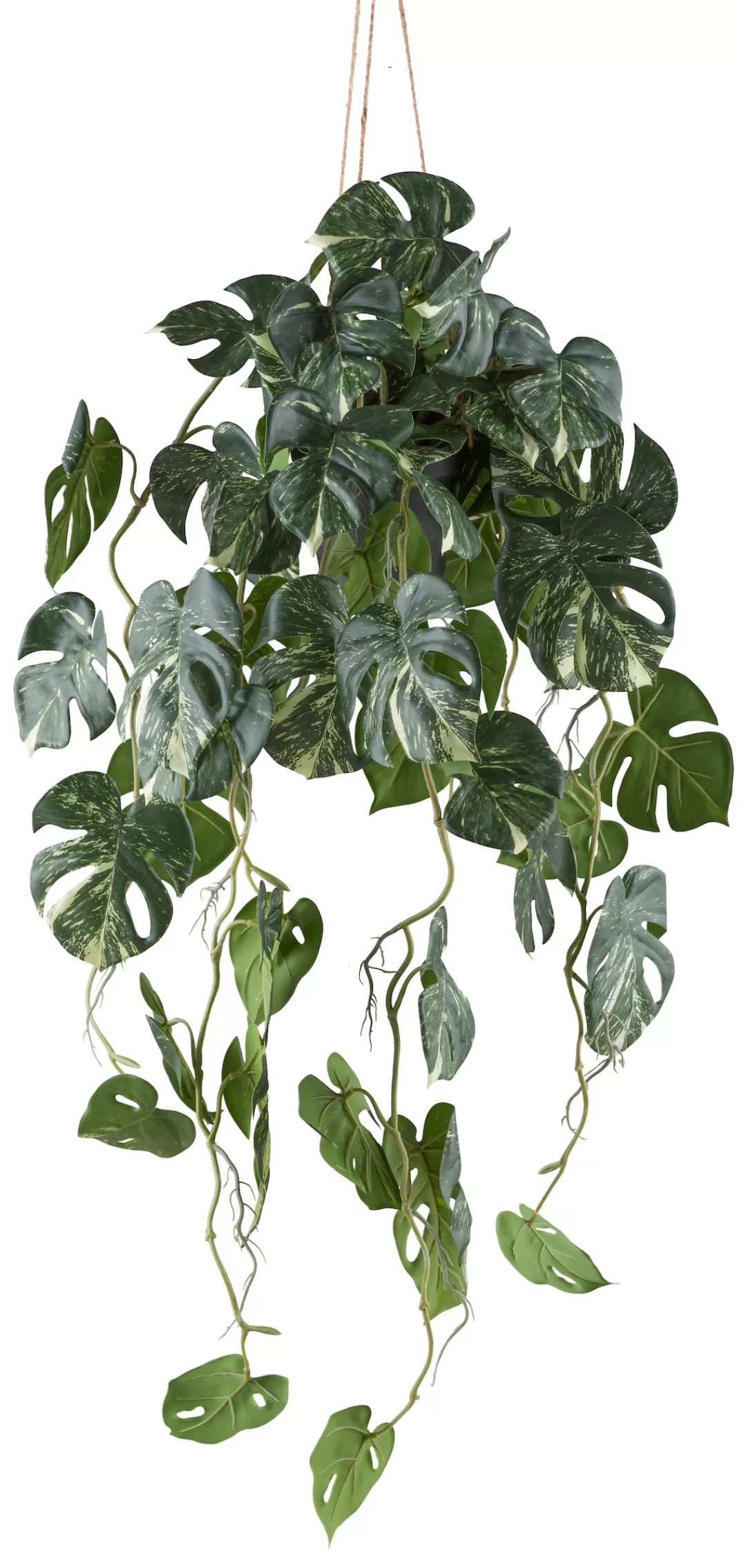 Creativ green Kunstpflanze "Philodendron varigata", mit Hängetopf günstig online kaufen