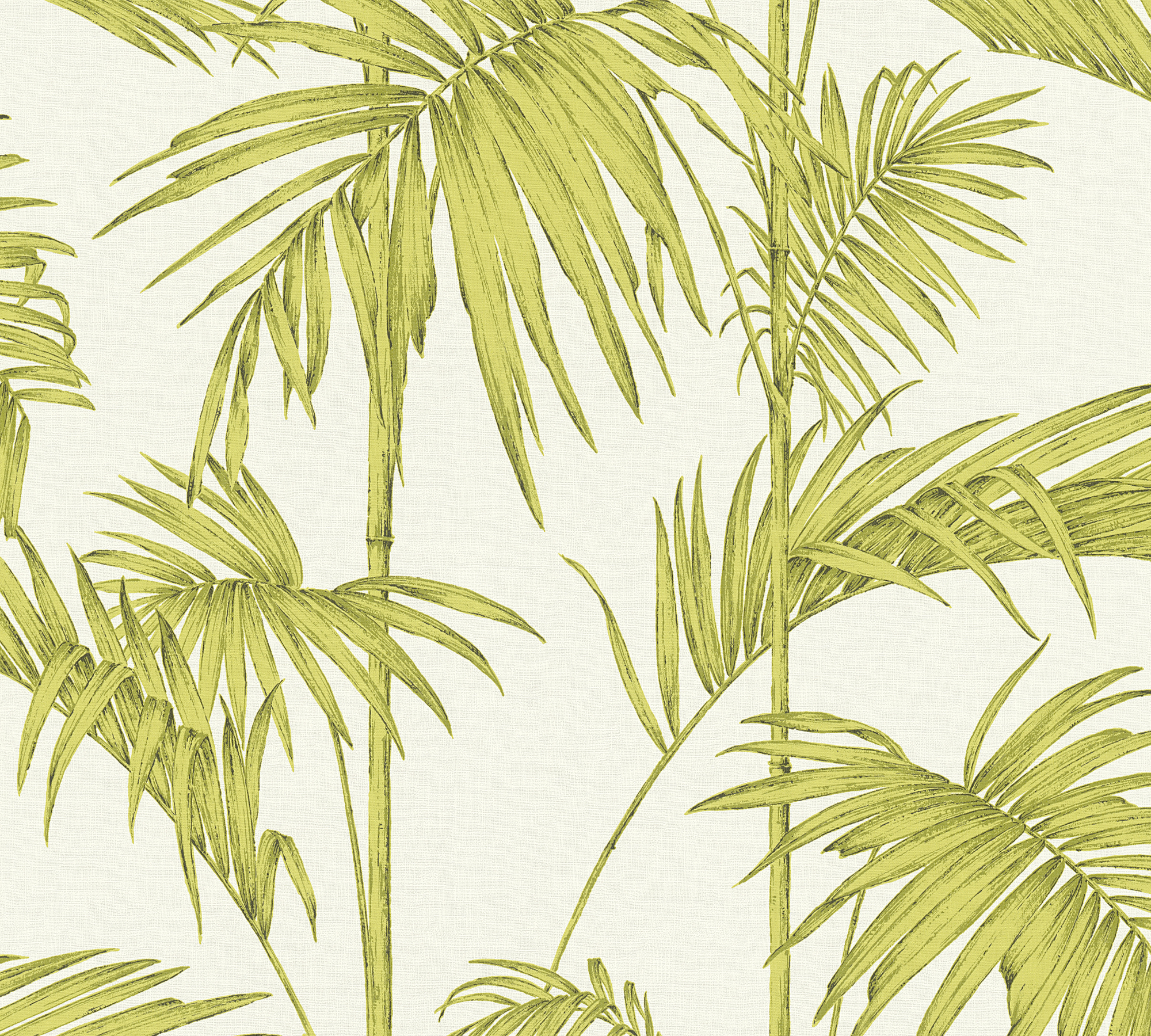 Bricoflor Vlies Palmentapete Grün günstig online kaufen