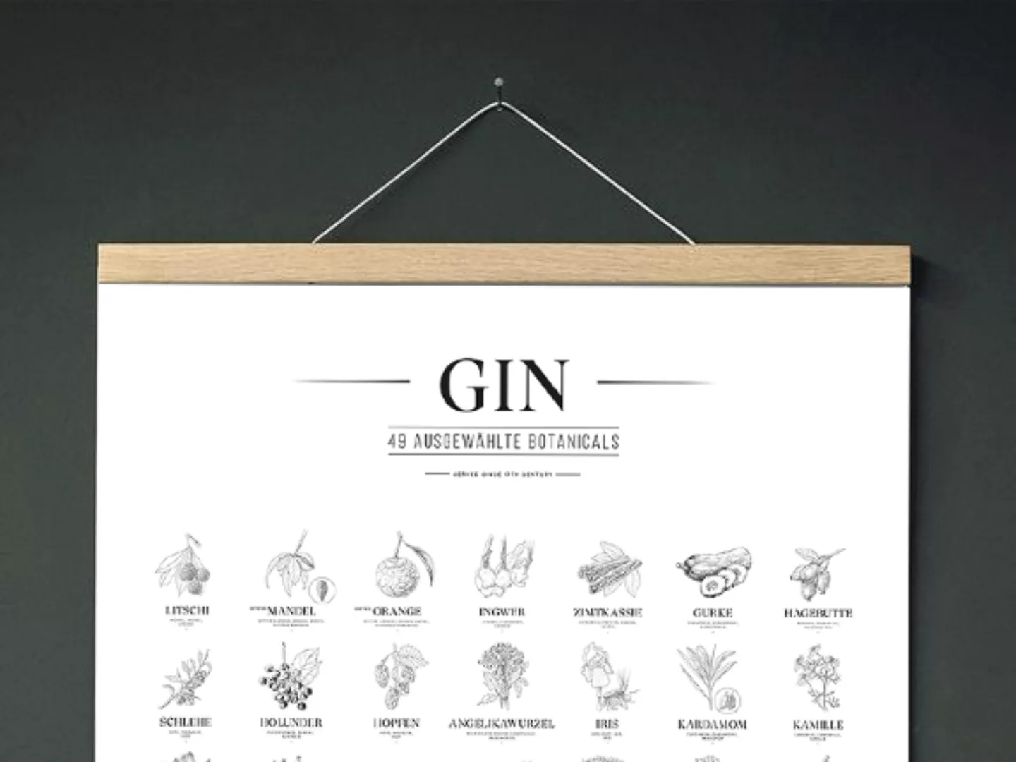 Gin Plakat, 49 Ausgewählte Kräuter Botanicals Gin Aromen Als Poster günstig online kaufen