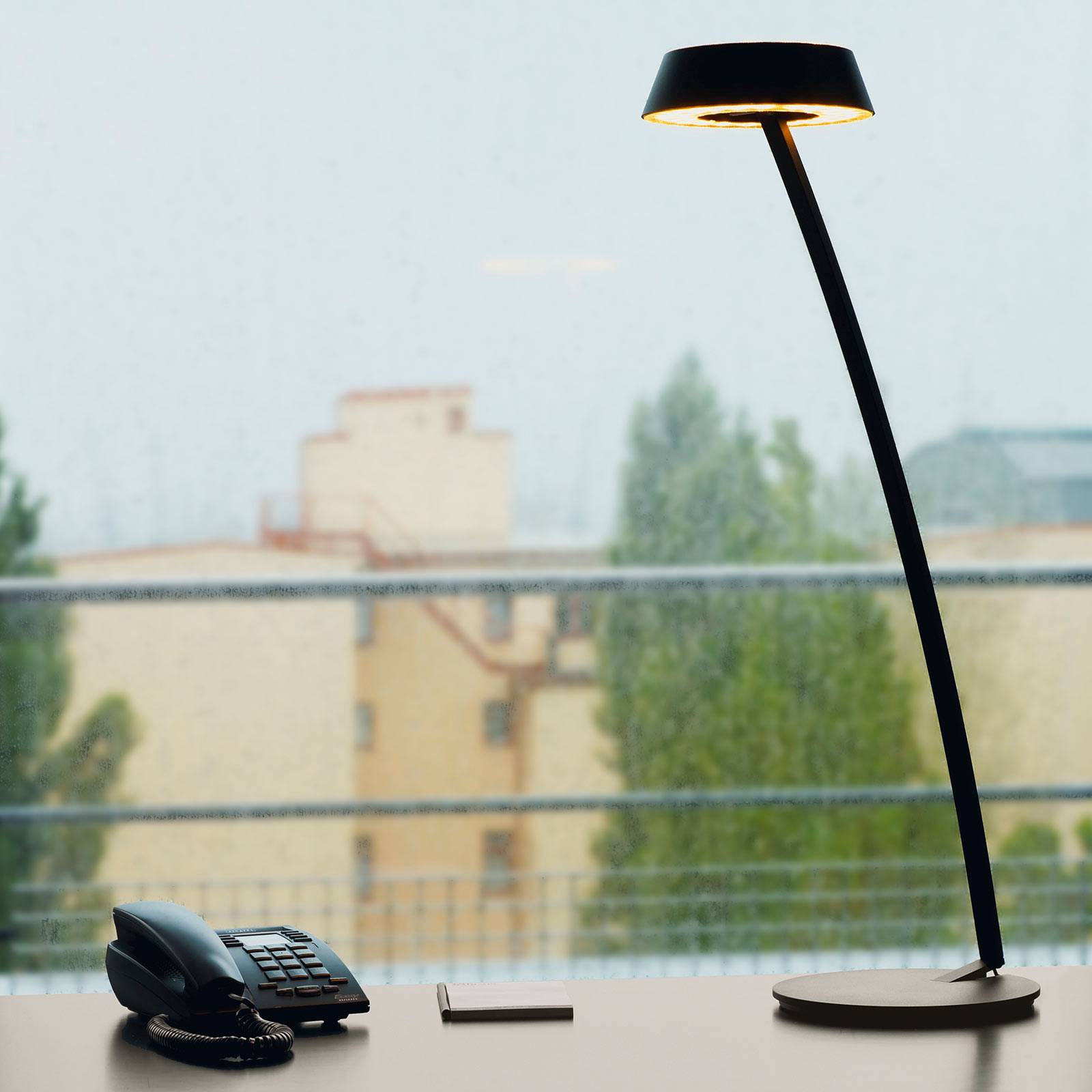OLIGO Glance LED-Tischlampe gebogen schwarz matt günstig online kaufen