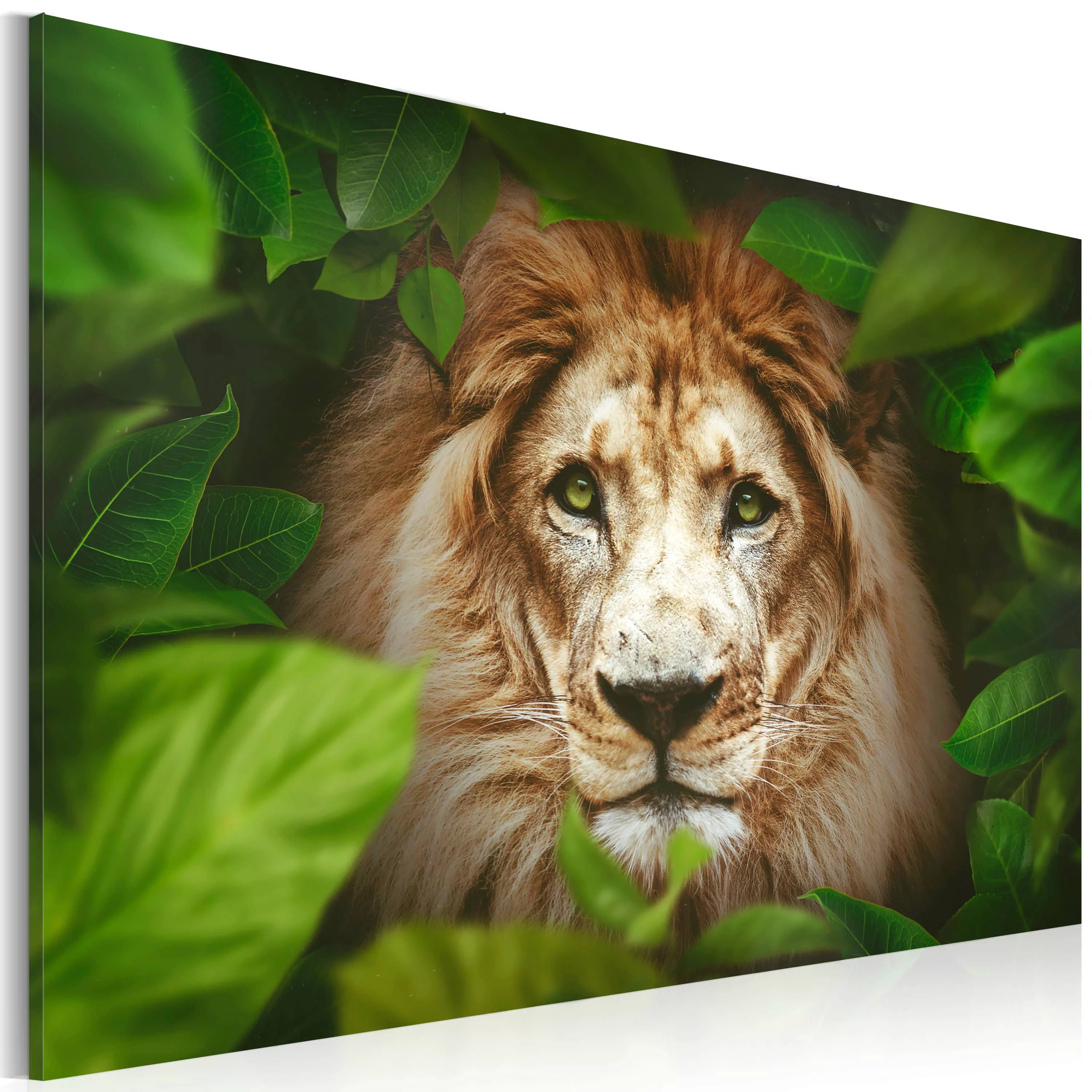 Wandbild - Eyes of the jungle günstig online kaufen