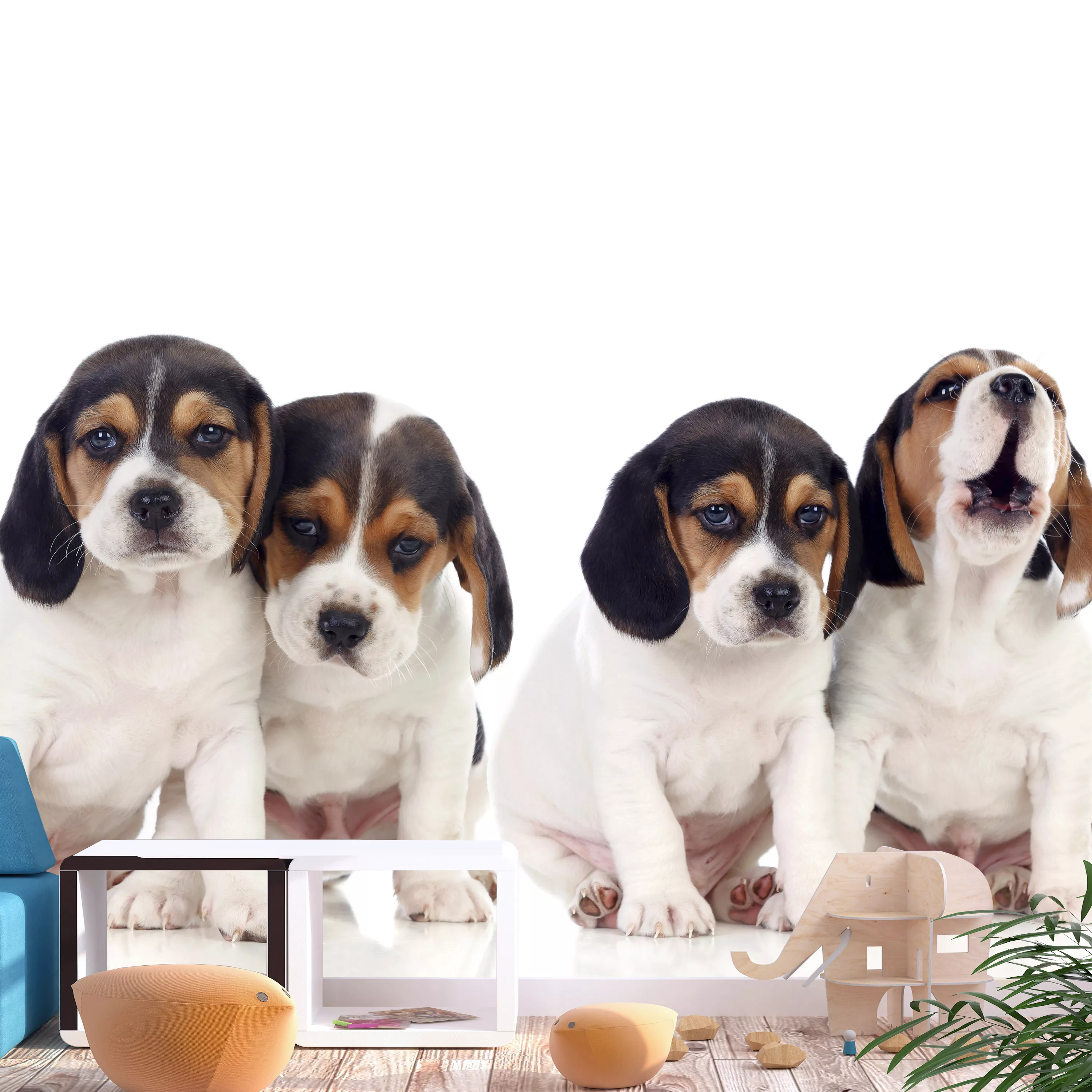 Fototapete - Sad Puppies günstig online kaufen