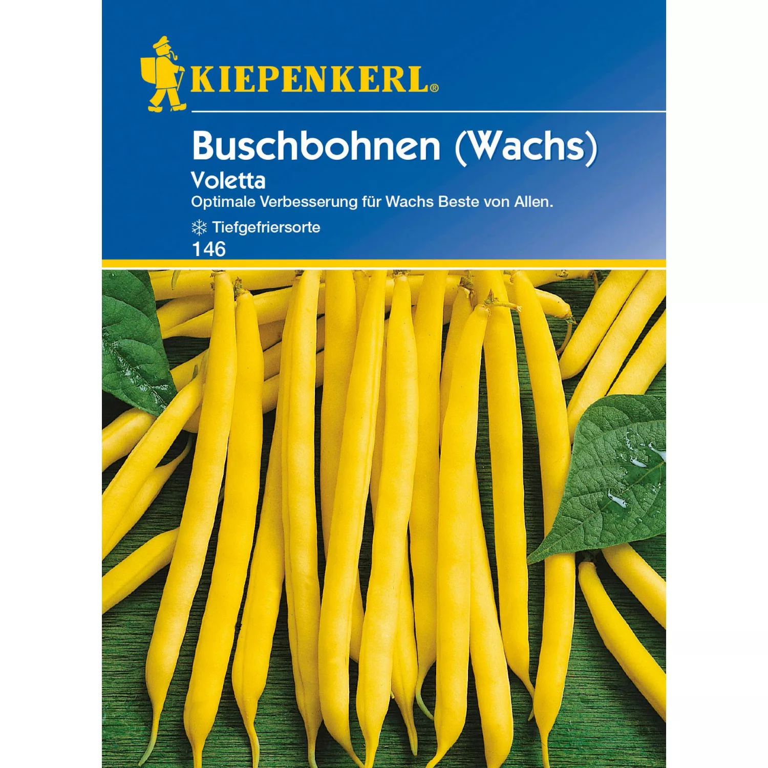 Kiepenkerl Buschbohnen Voletta günstig online kaufen